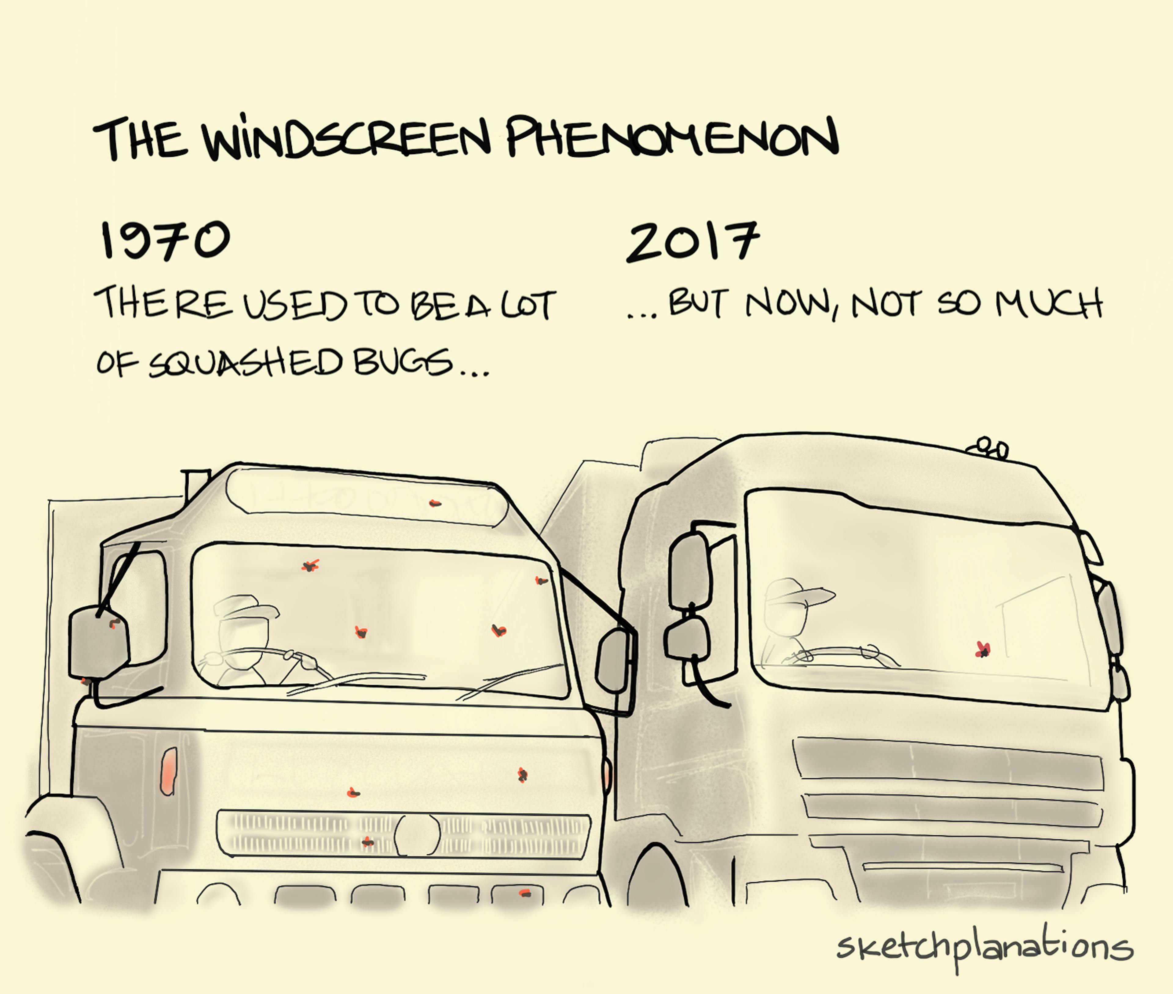 What is the windscreen phenomenon explanation: showing a 1970 truck with bugs splattered on the windscreen and a 2017 with very few, reflecting, most likely a general decline in flying insects