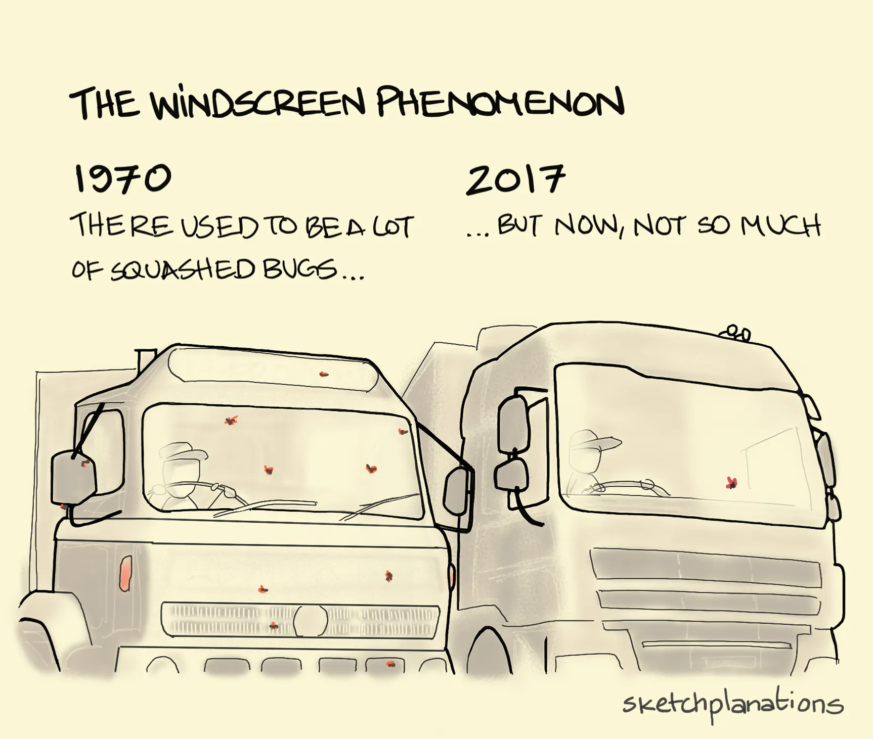 What is the windscreen phenomenon explanation: showing a 1970 truck with bugs splattered on the windscreen and a 2017 with very few, reflecting, most likely a general decline in flying insects