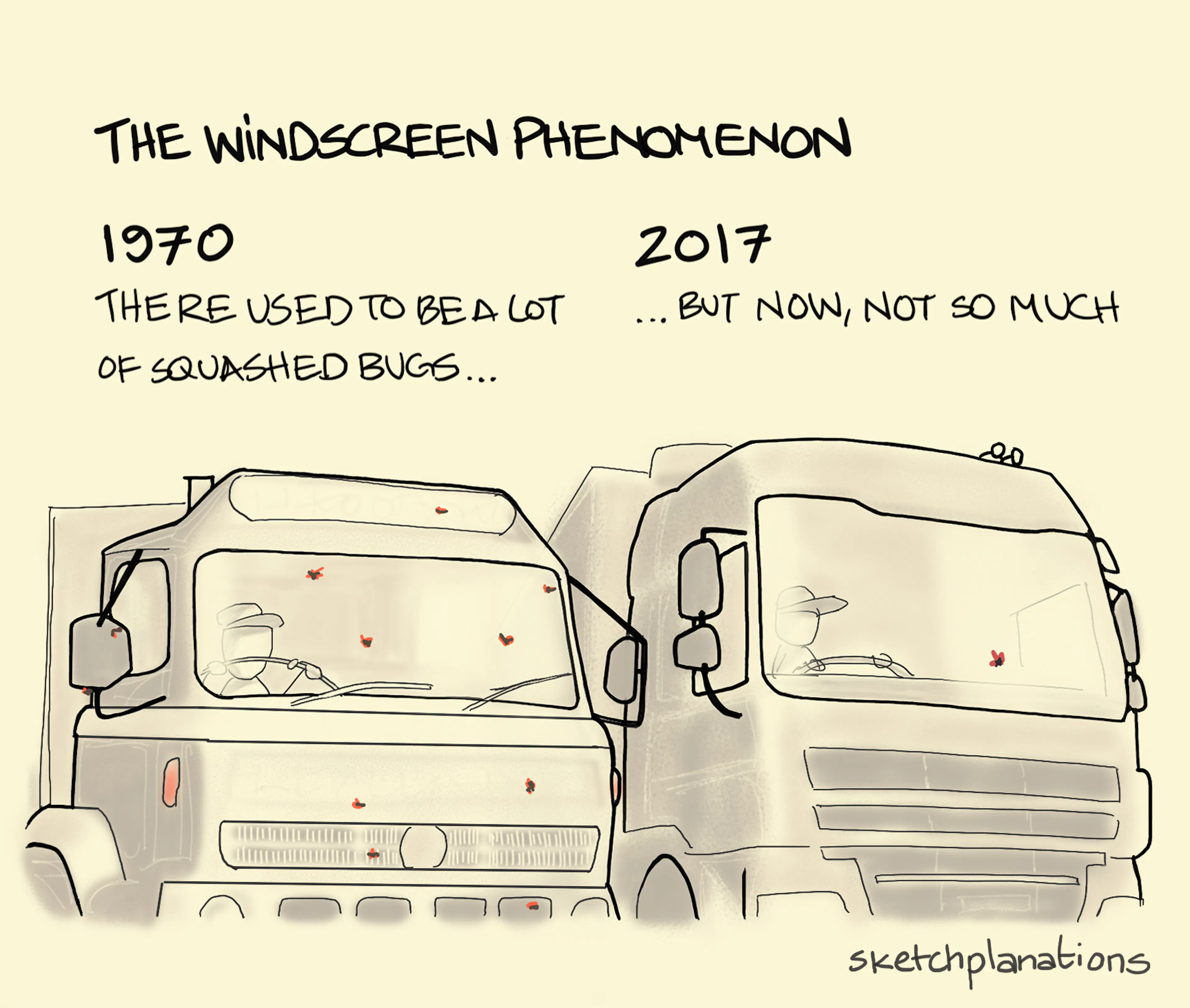 What is the windscreen phenomenon explanation: showing a 1970 truck with bugs splattered on the windscreen and a 2017 with very few, reflecting, most likely a general decline in flying insects