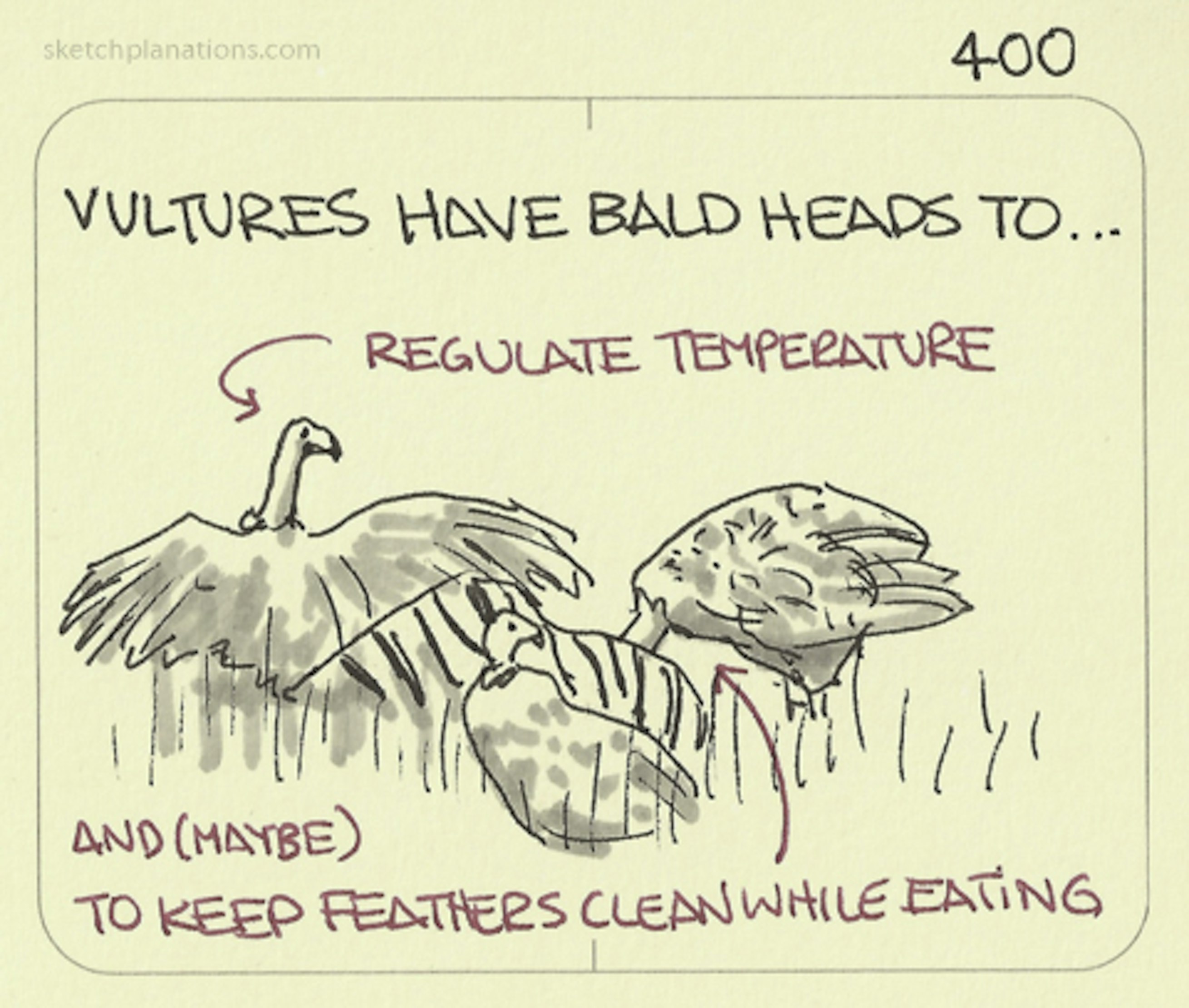 uk-vs-us-date-writing-sketchplanations