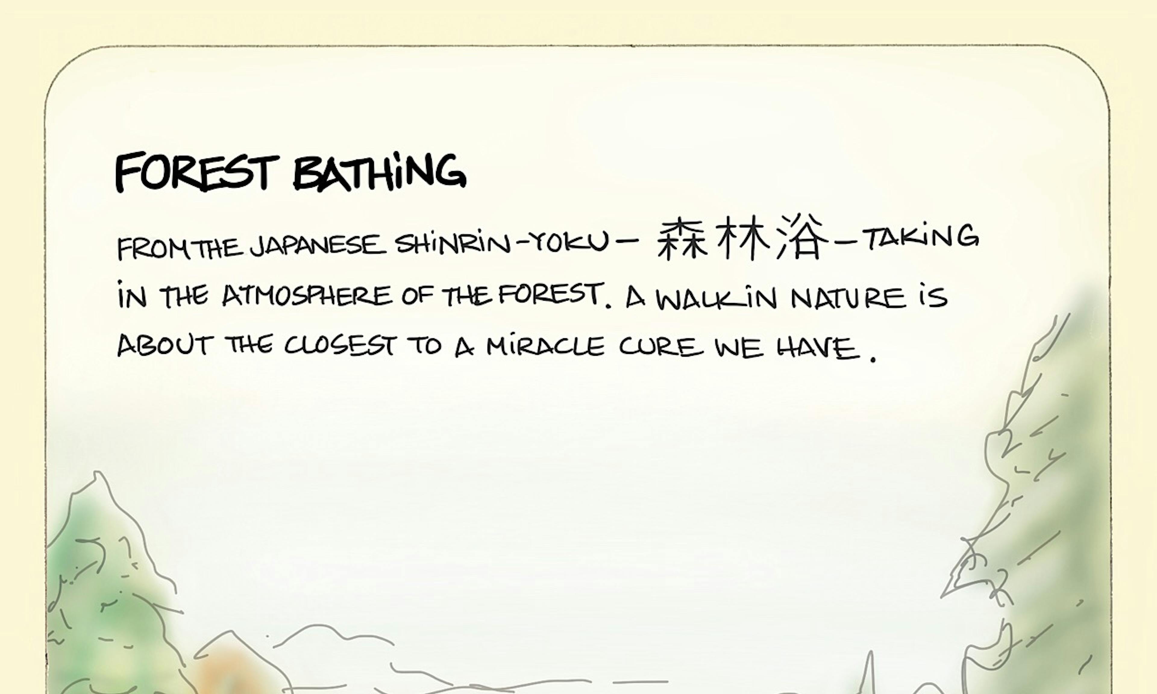 Forest bathing illustration — shinrin-yoku