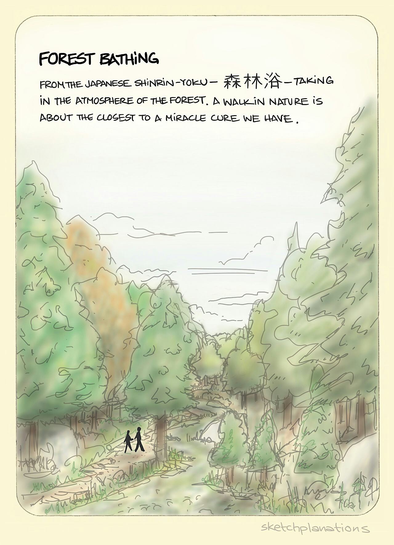 Forest bathing illustration — shinrin-yoku
