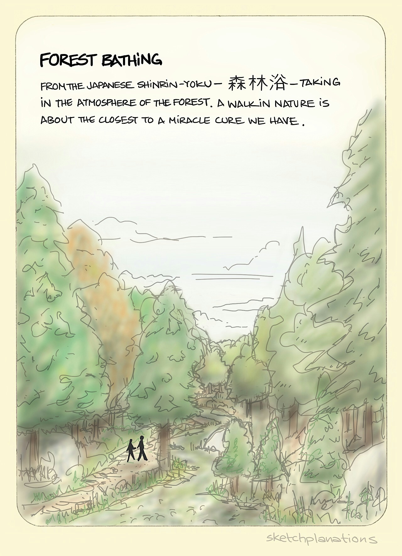 Forest bathing illustration — shinrin-yoku