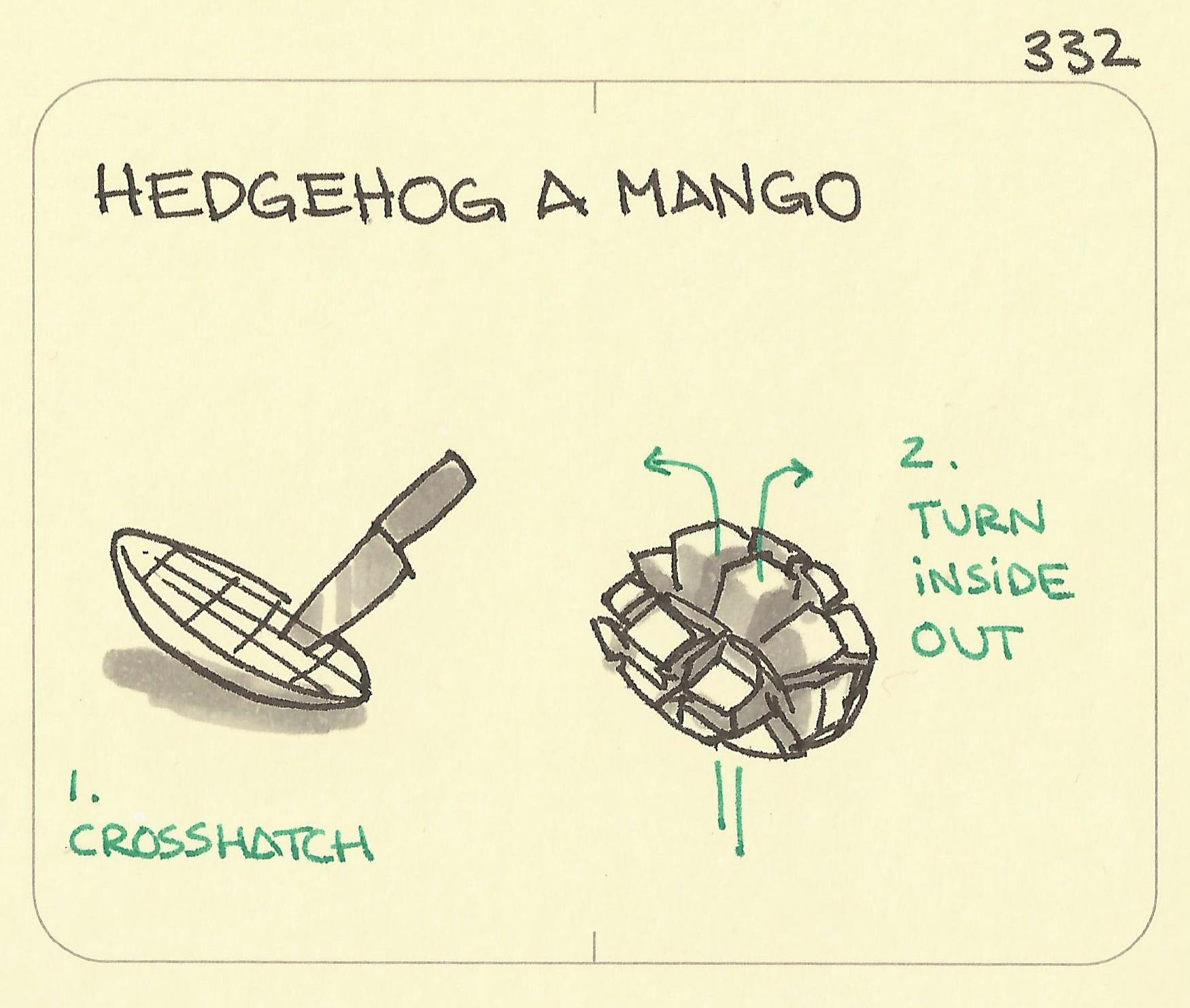Hedgehog a mango - Sketchplanations