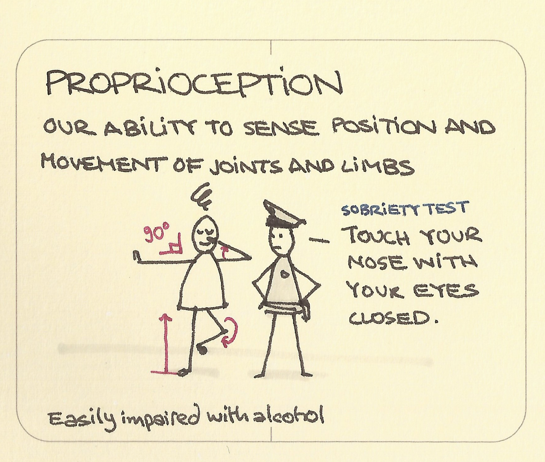 Proprioception - Sketchplanations