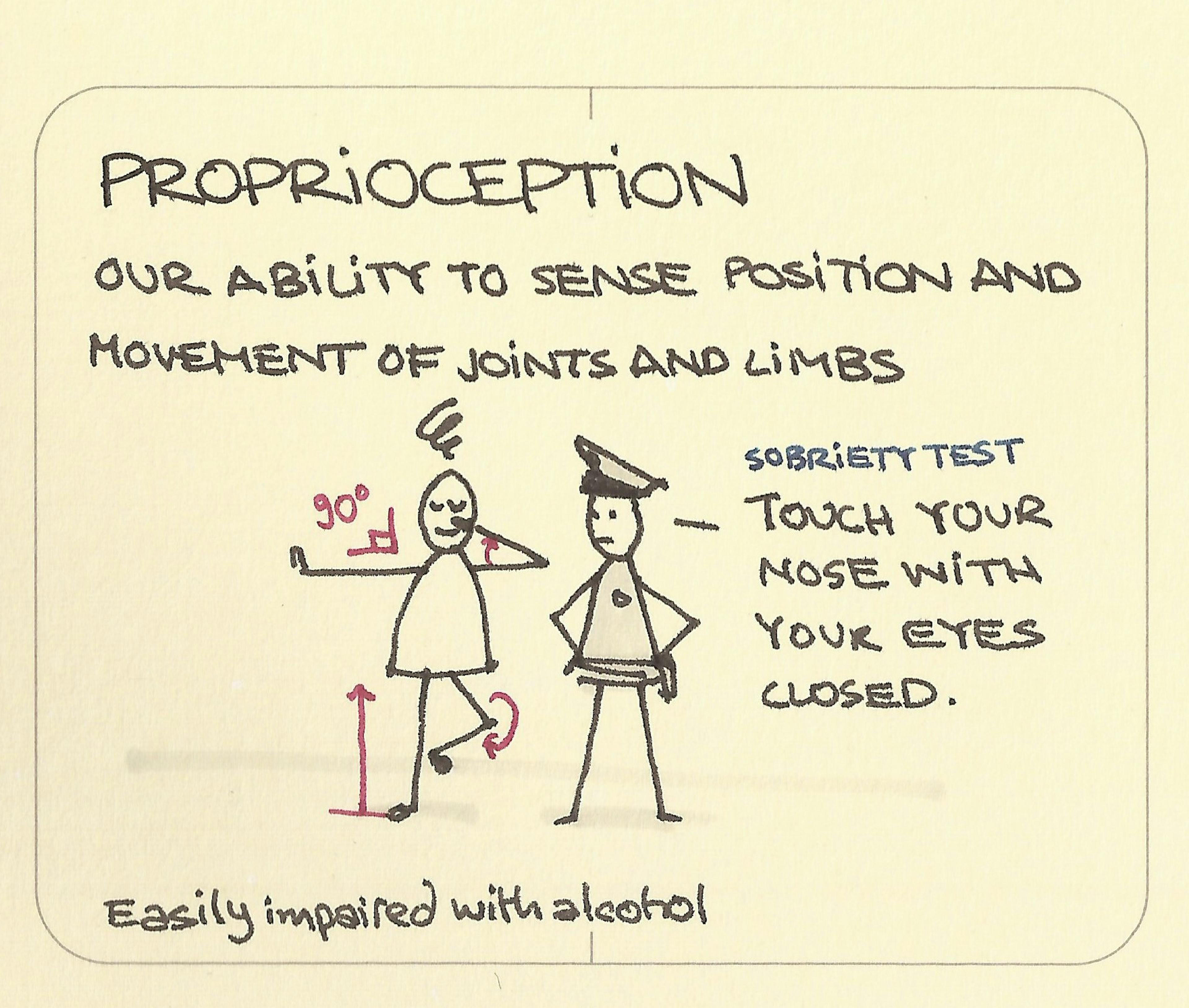 Proprioception illustration: someone demonstrating to a police officer they aren't drunk as they can touch their nose with their eyes closed while standing on one leg