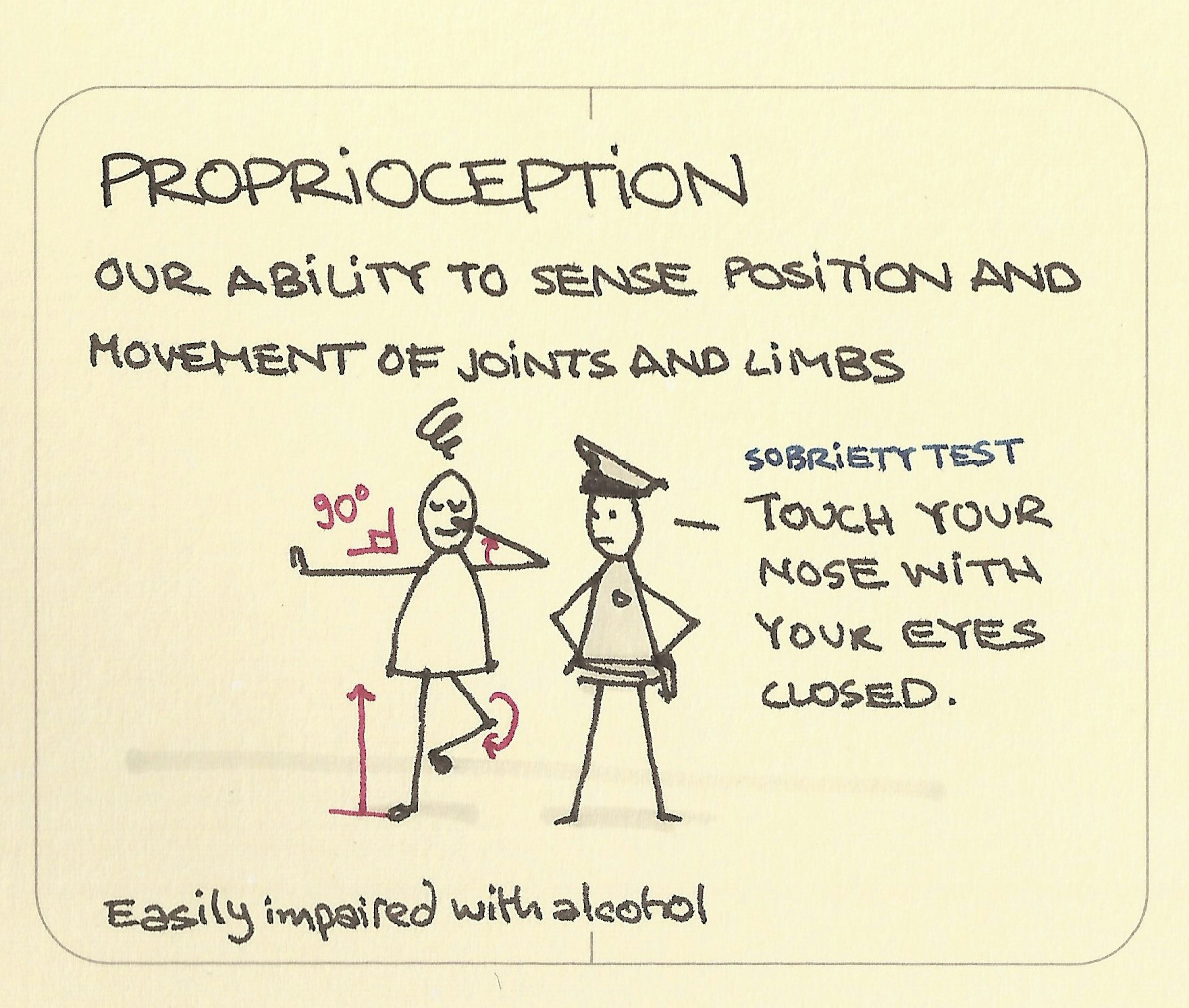 Proprioception illustration: someone demonstrating to a police officer they aren't drunk as they can touch their nose with their eyes closed while standing on one leg
