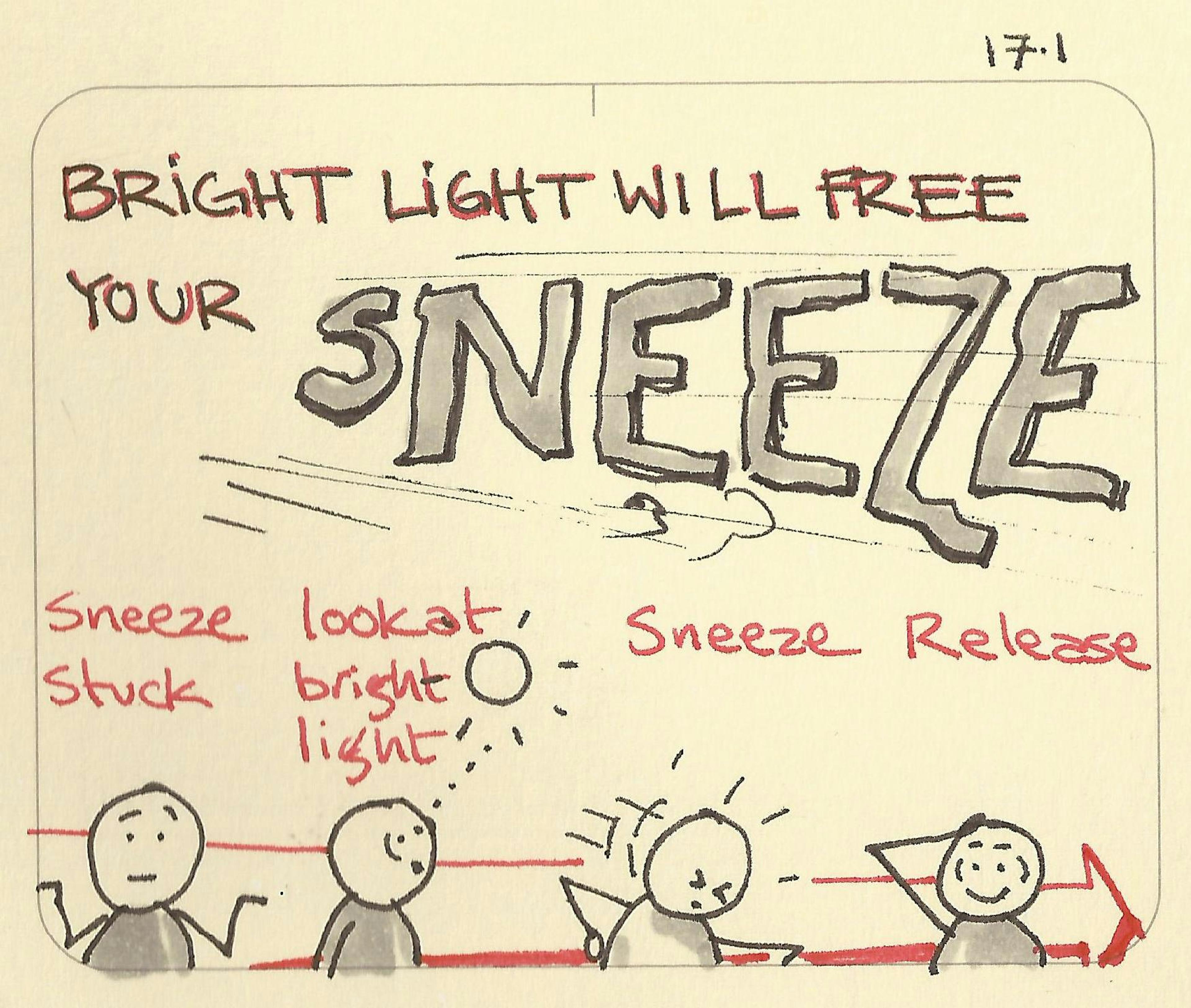 Bright light free your sneeze - Sketchplanations