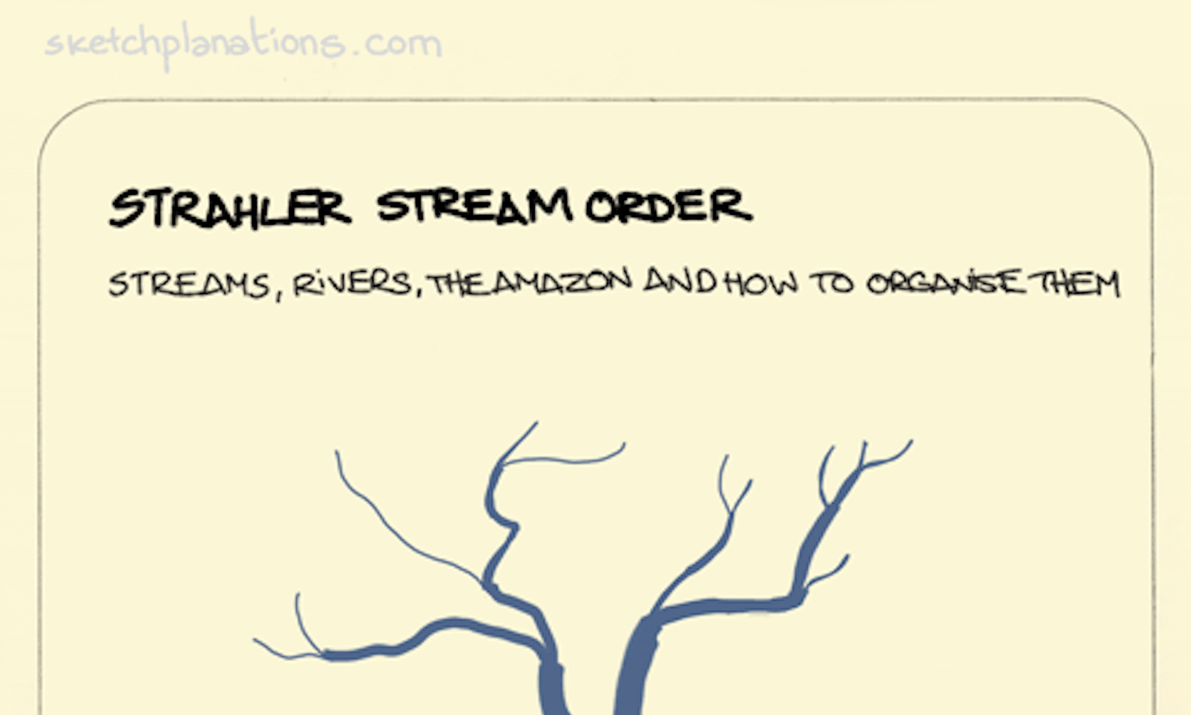 Strahler Stream Order animation: what looks like the silhouette of a tree with branches but no leaves, is actually a plan view of a large river network. Starting at the outermost, narrowest parts, each time two tributaries of the same order merge together the order of river size increases until it flows out into the sea.