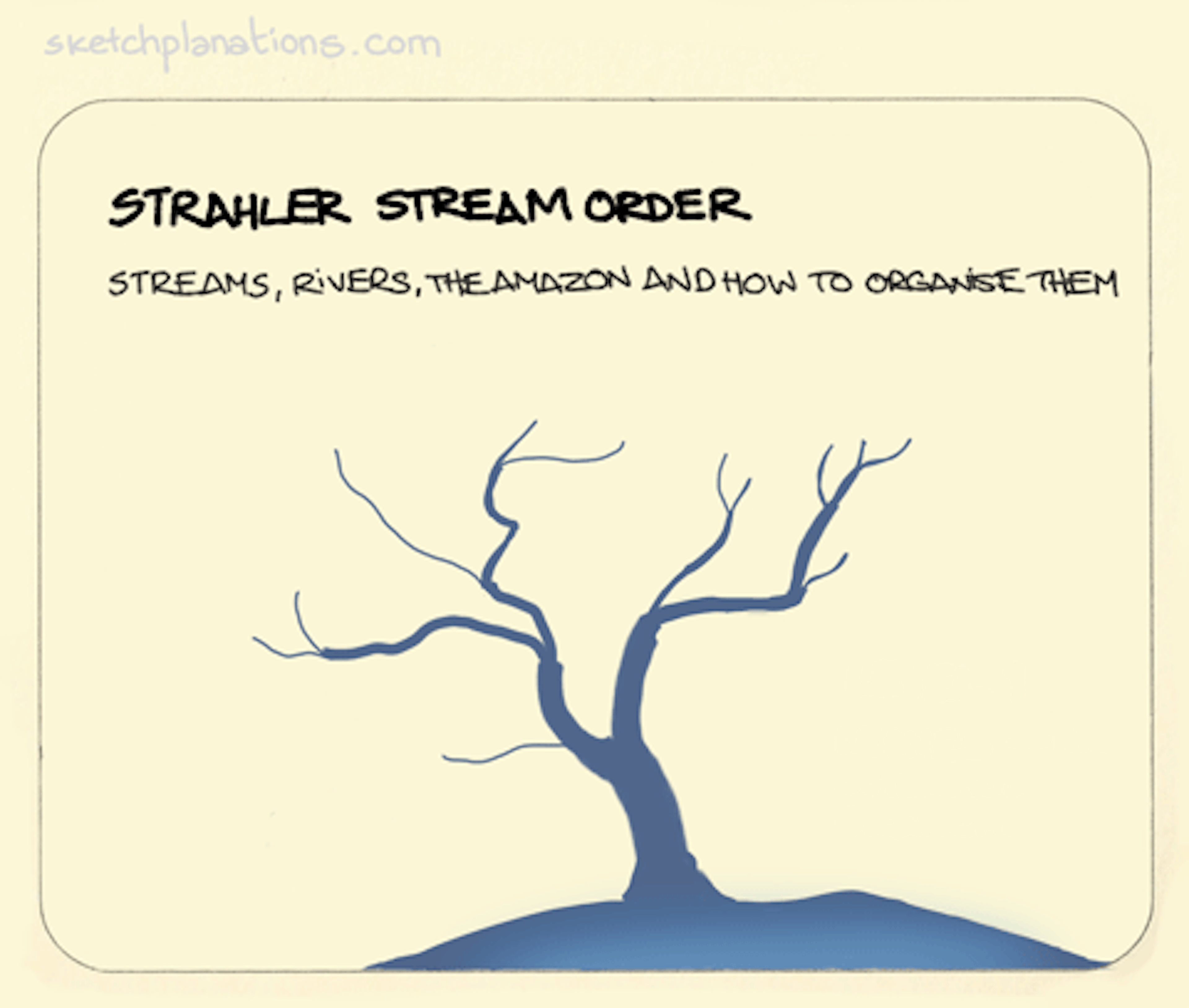 Strahler Stream Order animation: what looks like the silhouette of a tree with branches but no leaves, is actually a plan view of a large river network. Starting at the outermost, narrowest parts, each time two tributaries of the same order merge together the order of river size increases until it flows out into the sea. 