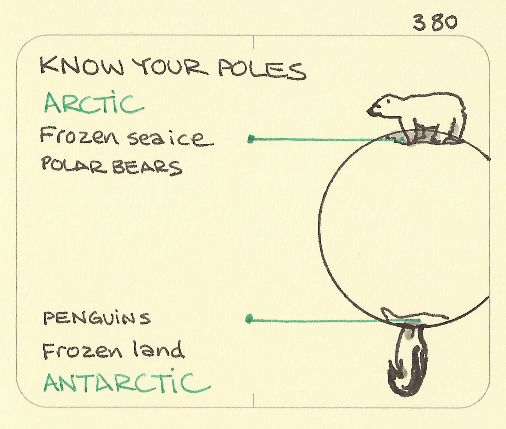 Know your poles: Arctic polar bears, frozen sea, and Antarctic, penguins, frozen land