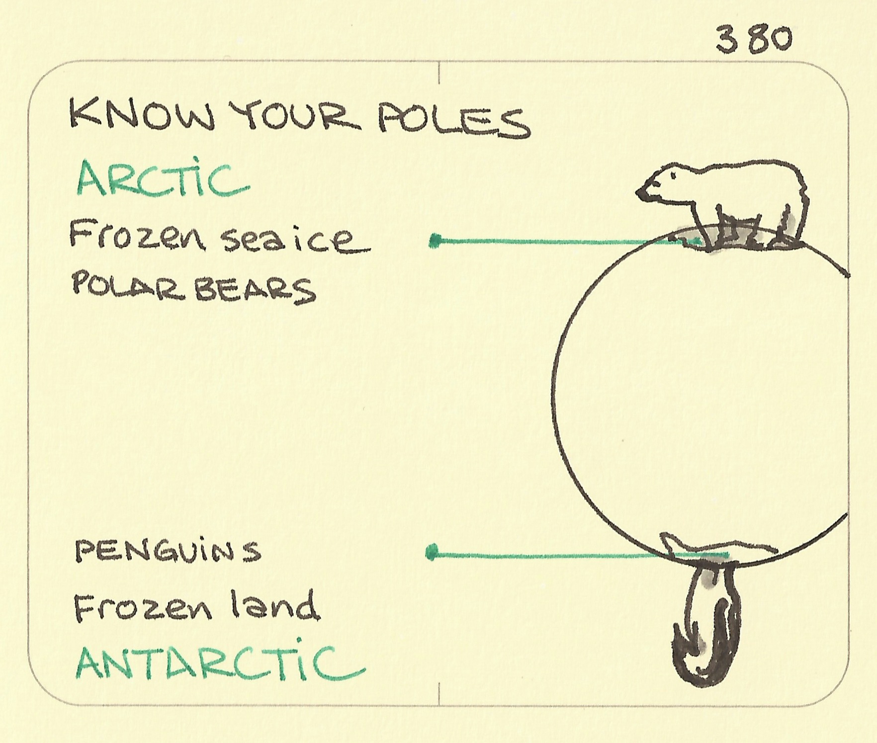 Know your poles: Arctic polar bears, frozen sea, and Antarctic, penguins, frozen land
