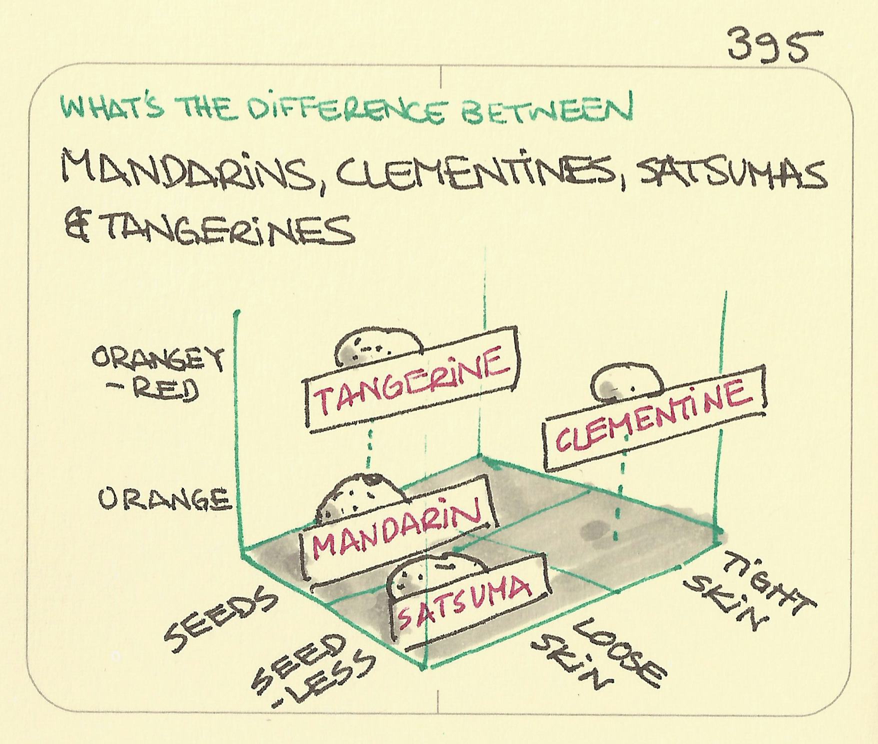 What’s the difference between mandarins, clementines, satsumas and tangerines? - Sketchplanations