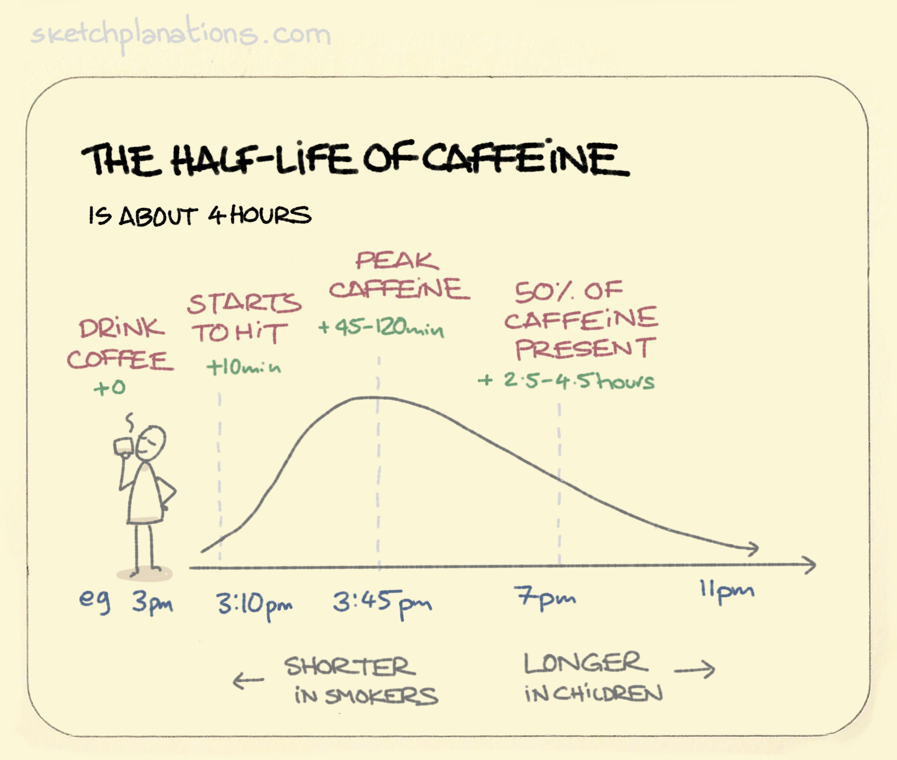 caffeine half life
