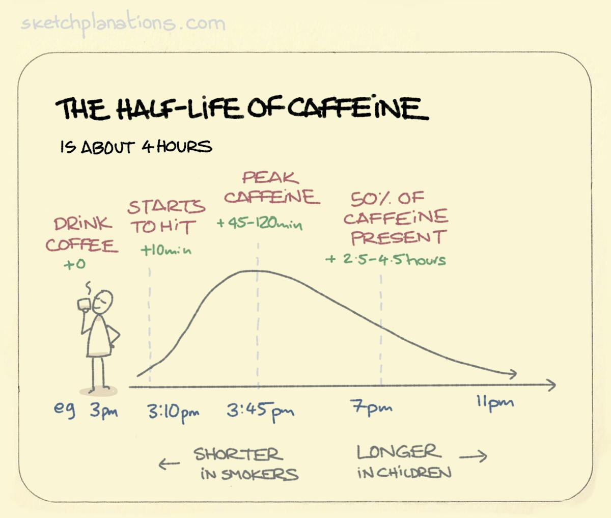 The halflife of caffeine. Sketchplanations