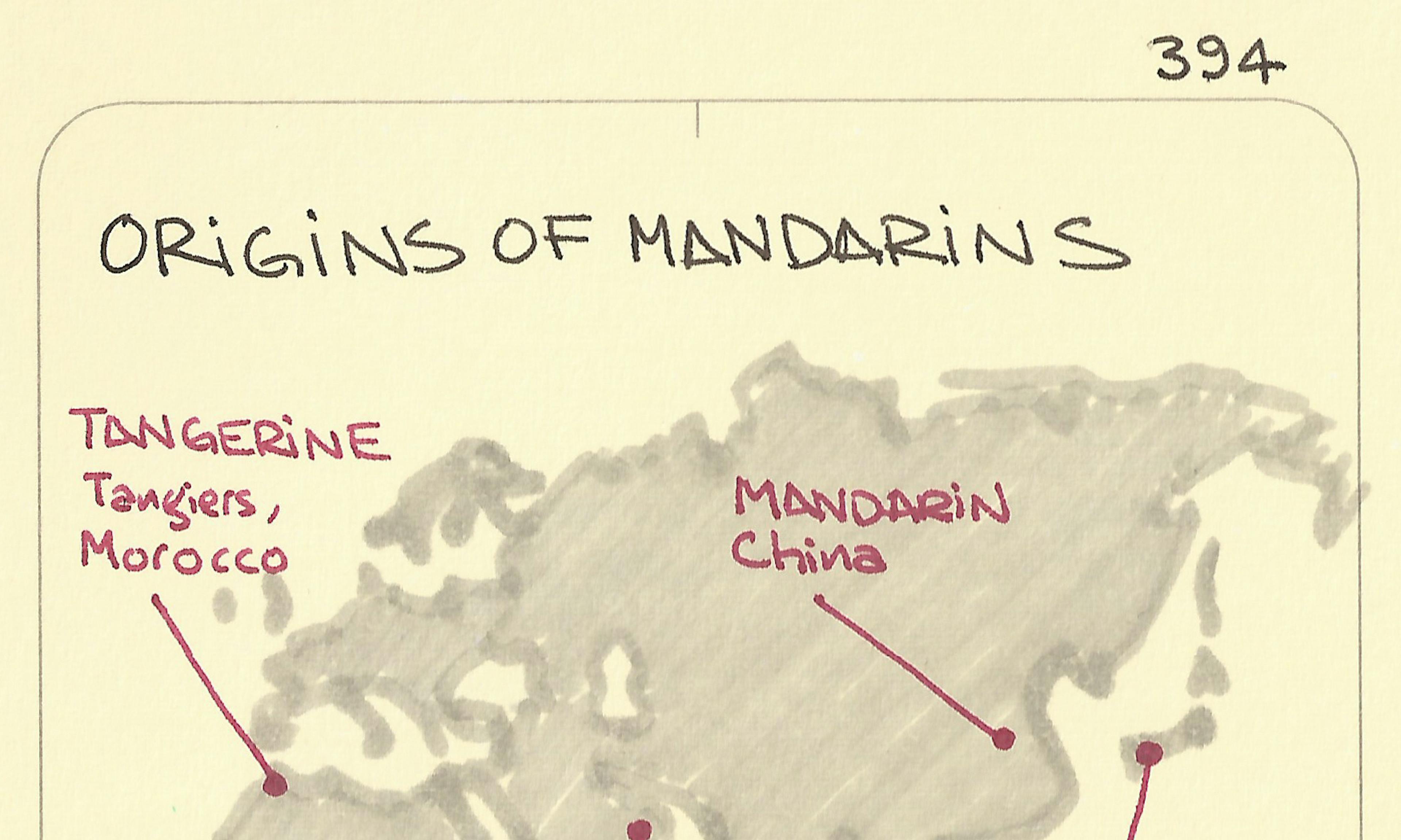 Origins of mandarins world map: including Tangerine from Tangiers, Morocco, Mandarin from China, Clementine from Oman and Satsuma from Japan