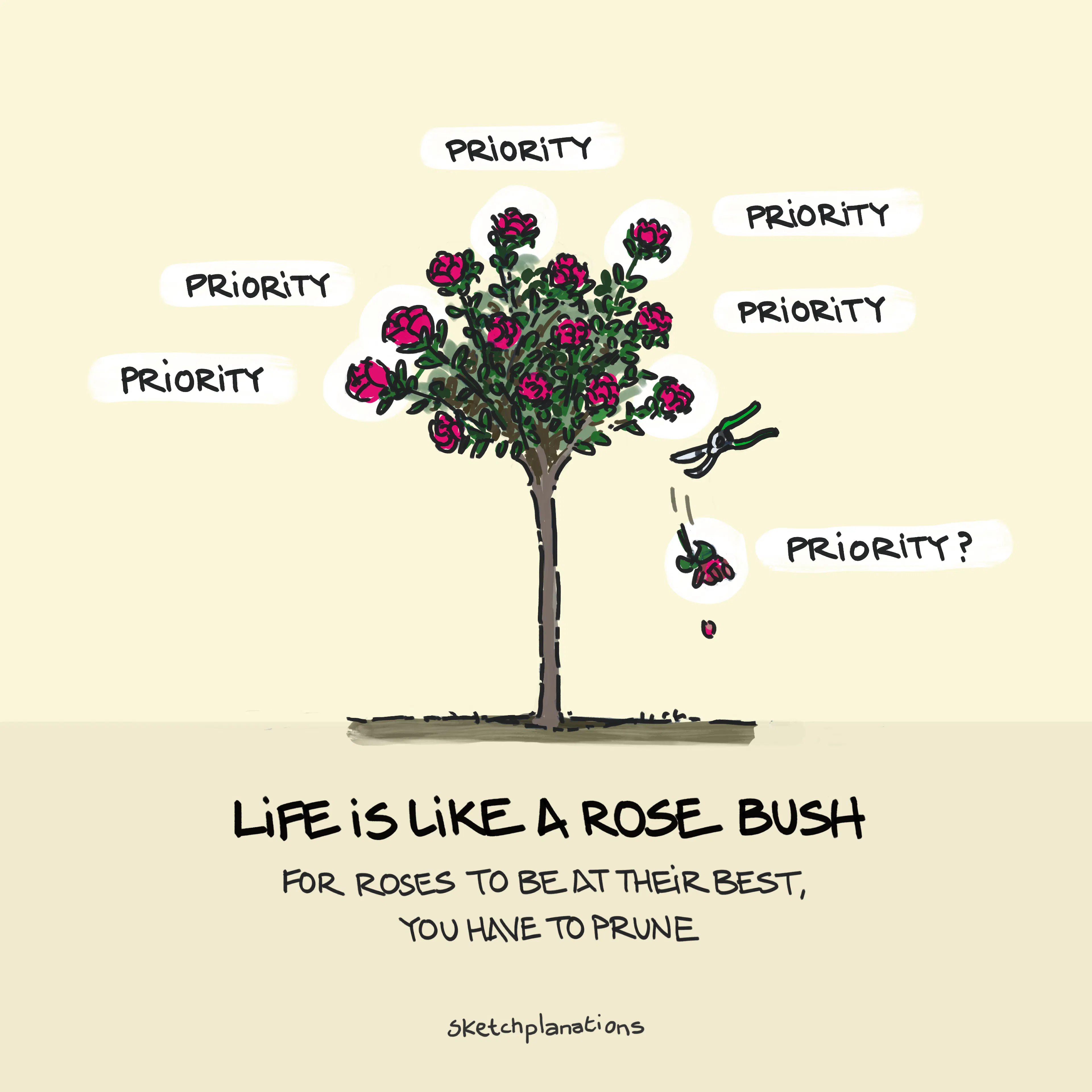 The Rose Bush Rule with the life is like a rose bush metaphor: pruning roses to allow the others to bloom