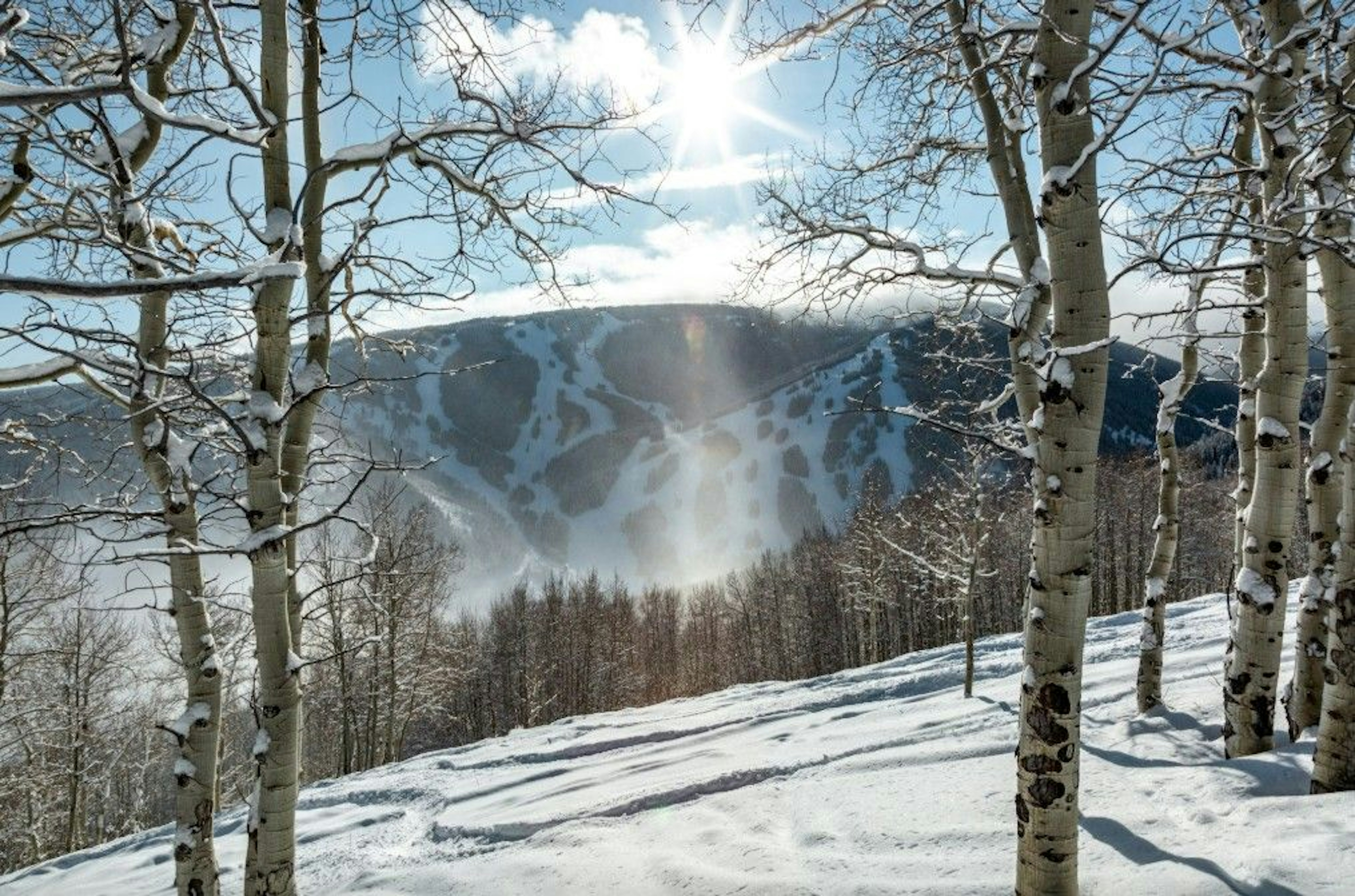 A beautiful sunny scene of Beaver Creek ski slopes framed by snow covered pine and aspen trees