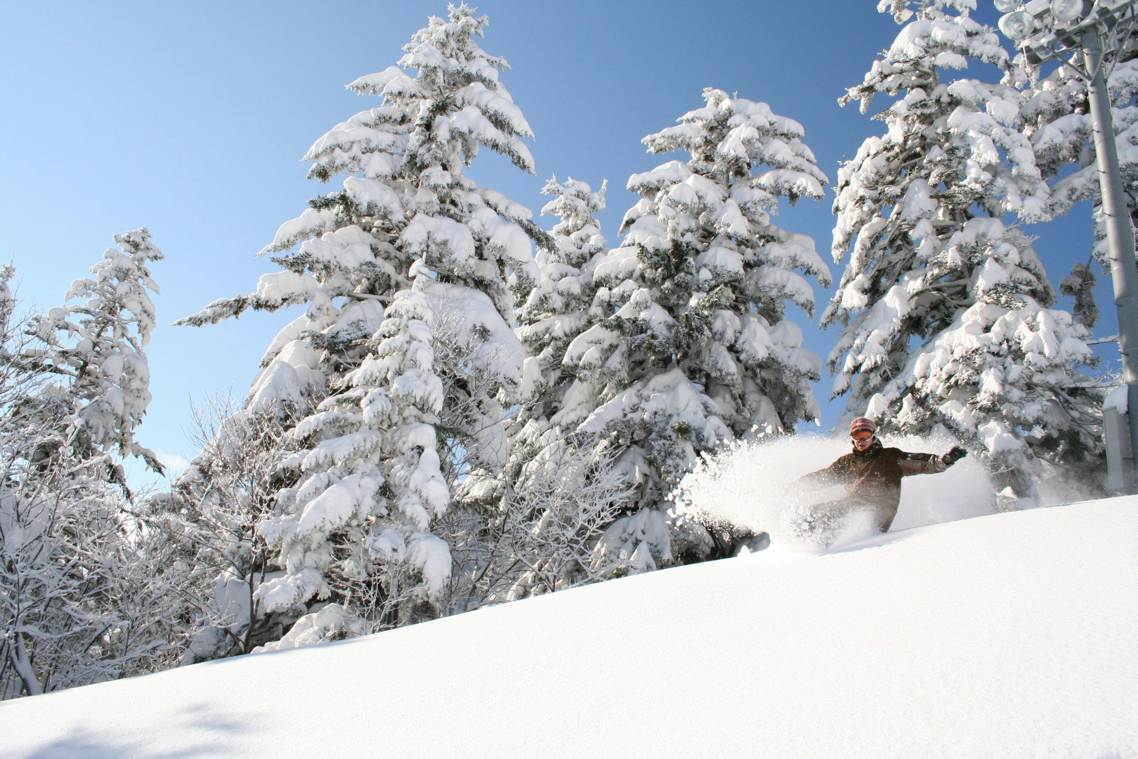 Afternoon of skiing for a skier of undiscernible gender in brown ski jacket in Furano Ski Resort in Japan.