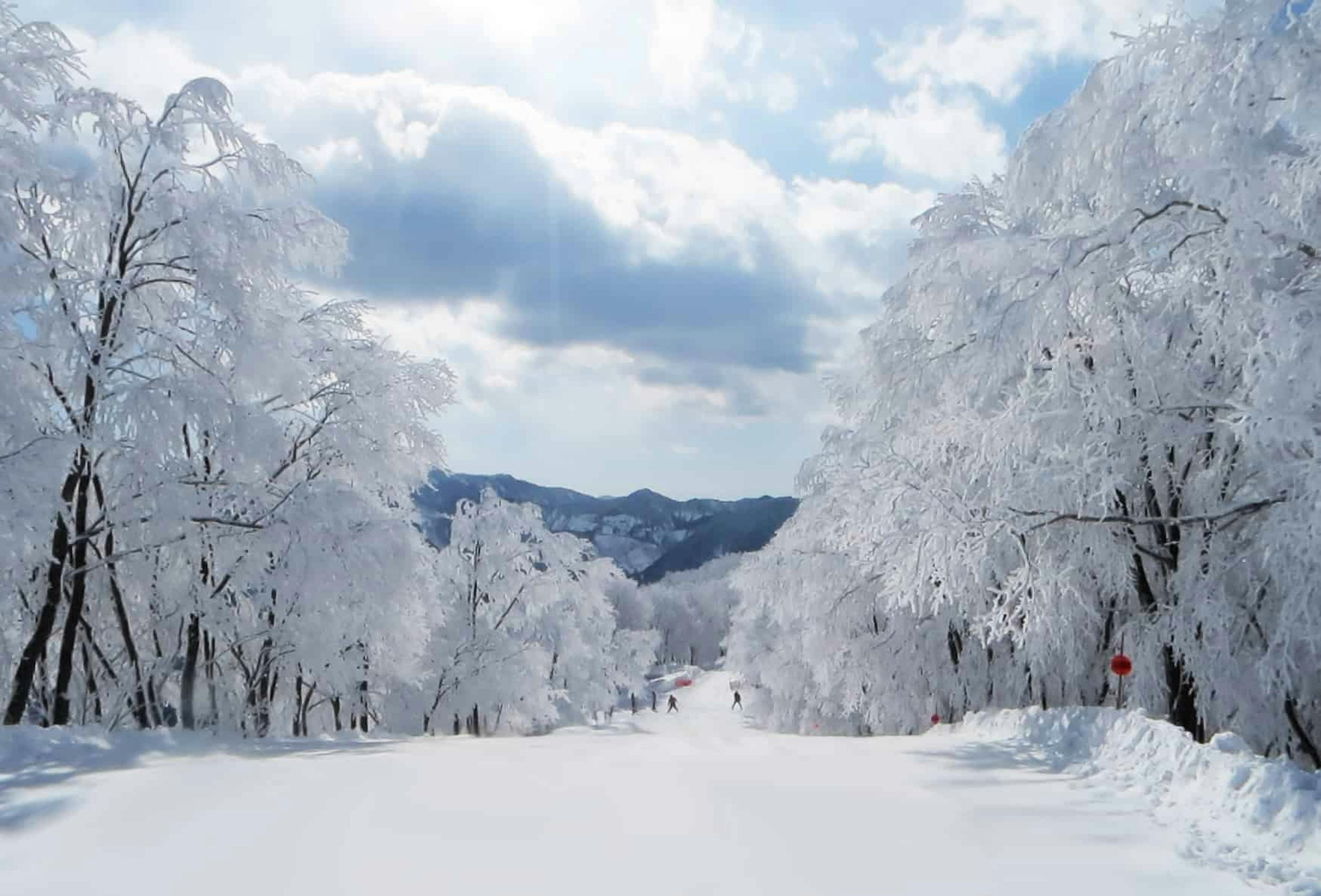 An icy afternoon on the slopes in Hakuba Valley in Japan.