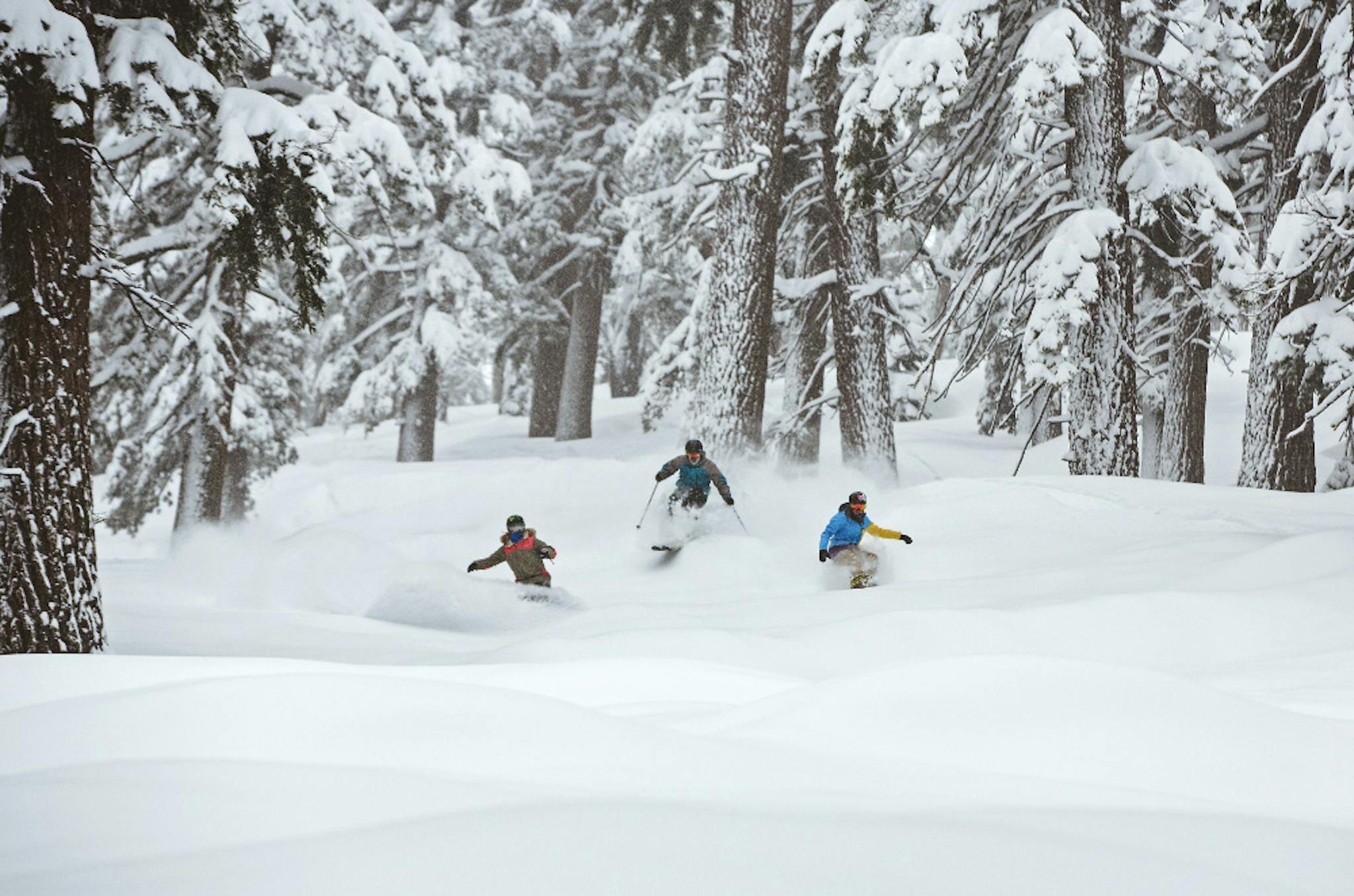 friends snowboard or ski through powder snow in the trees at heavenly ski resort