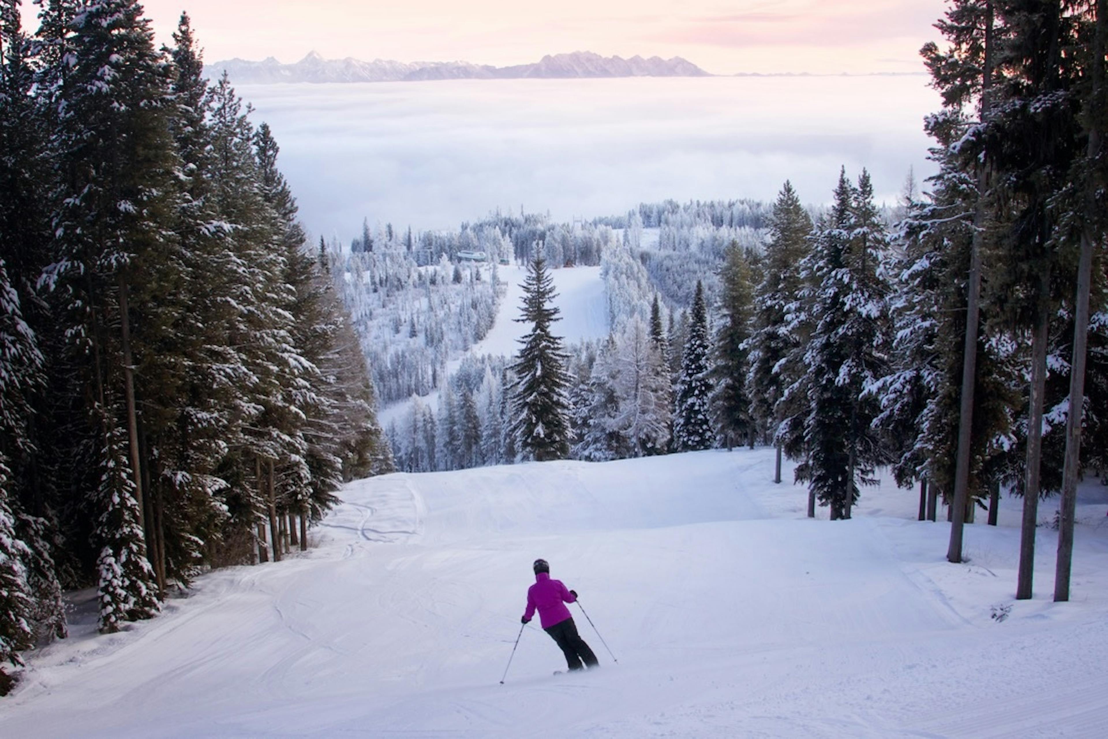 A female skier in purple ski jacket skiing the slopes of Kimberley Alpine Resort in Kimberley, British Columbia, Canada.