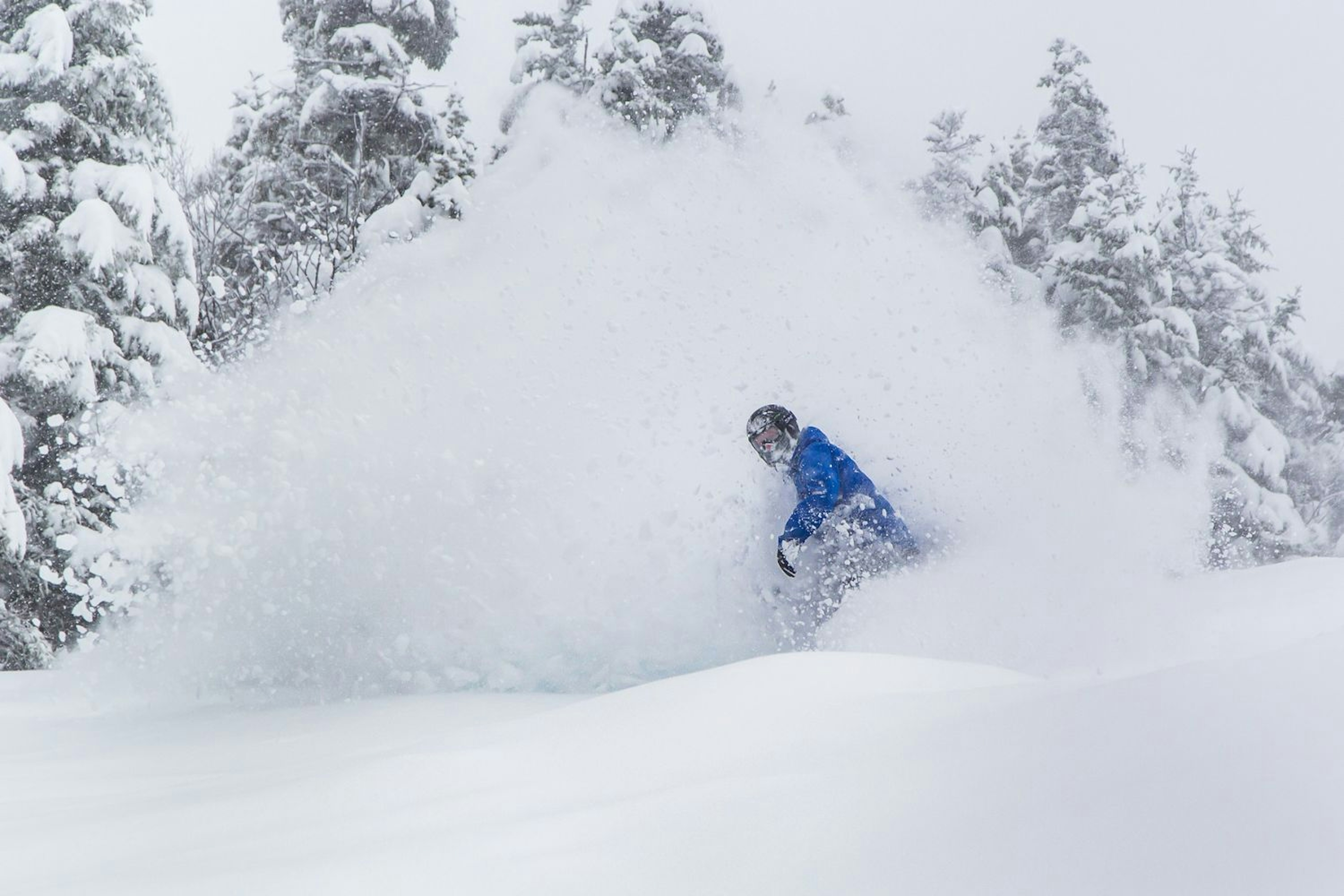 Snowboarder in powder at Loon Mountain