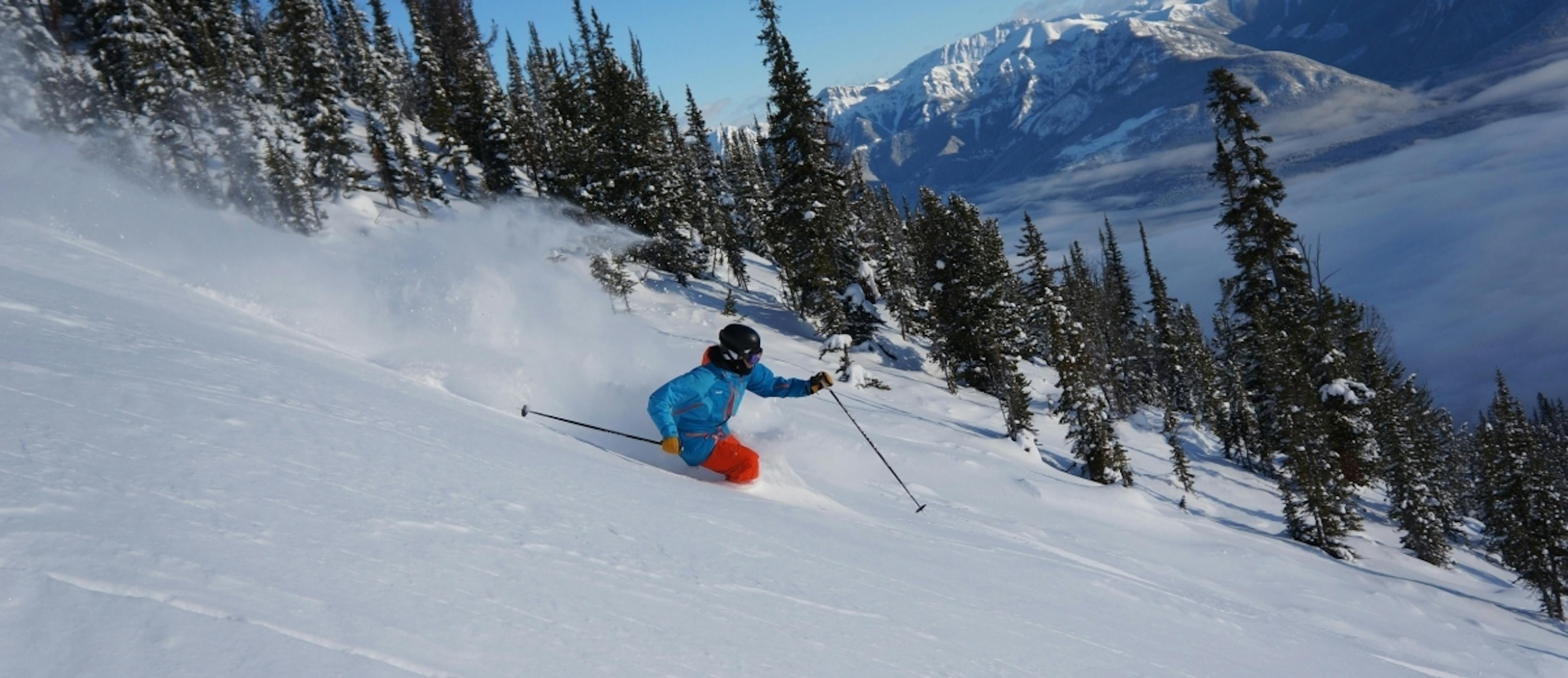 Skier skiing powder in Kicking Horse Mountain Resort.