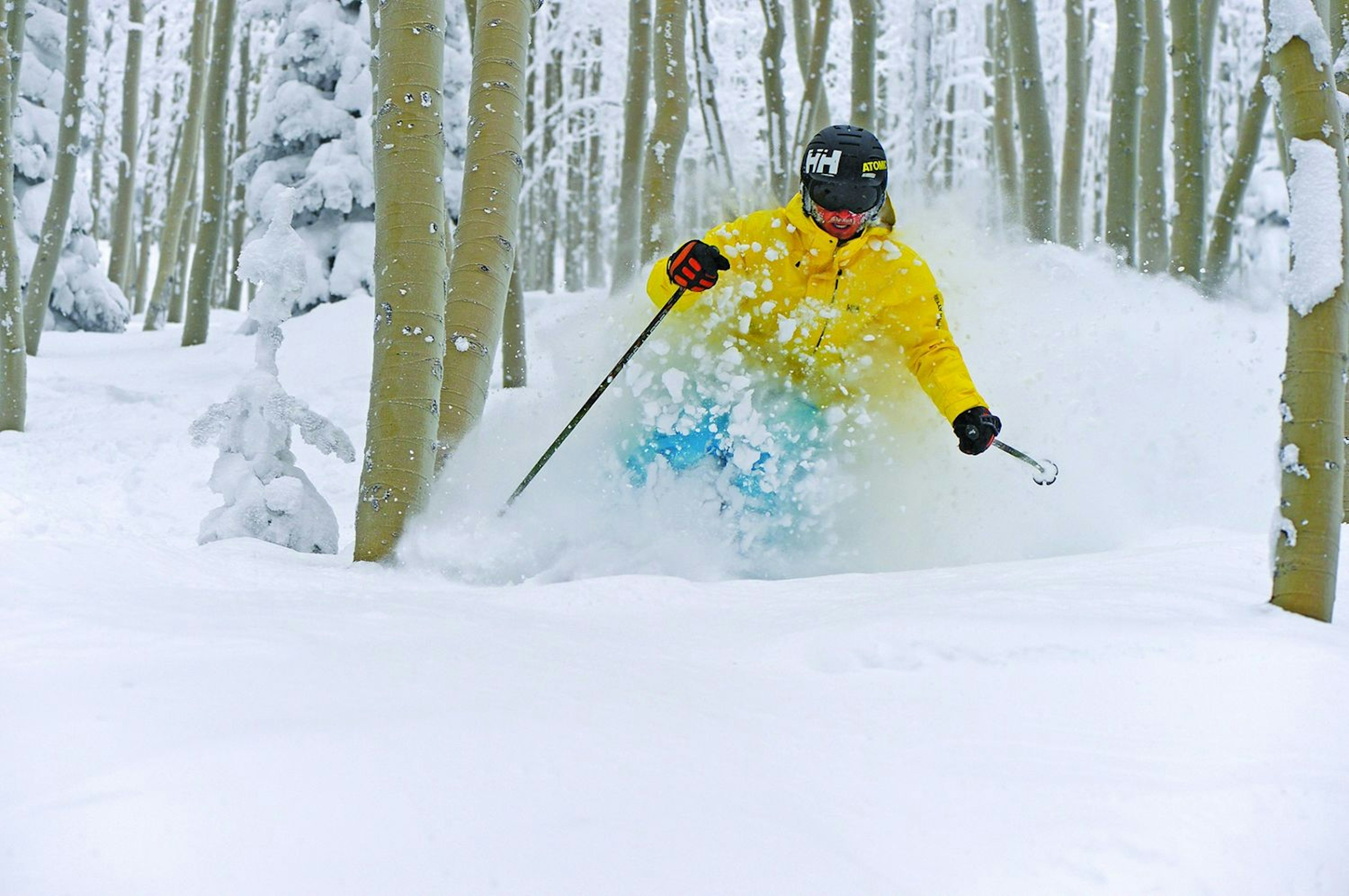 Tree skiing in powder at Steamboat Ski Resort.