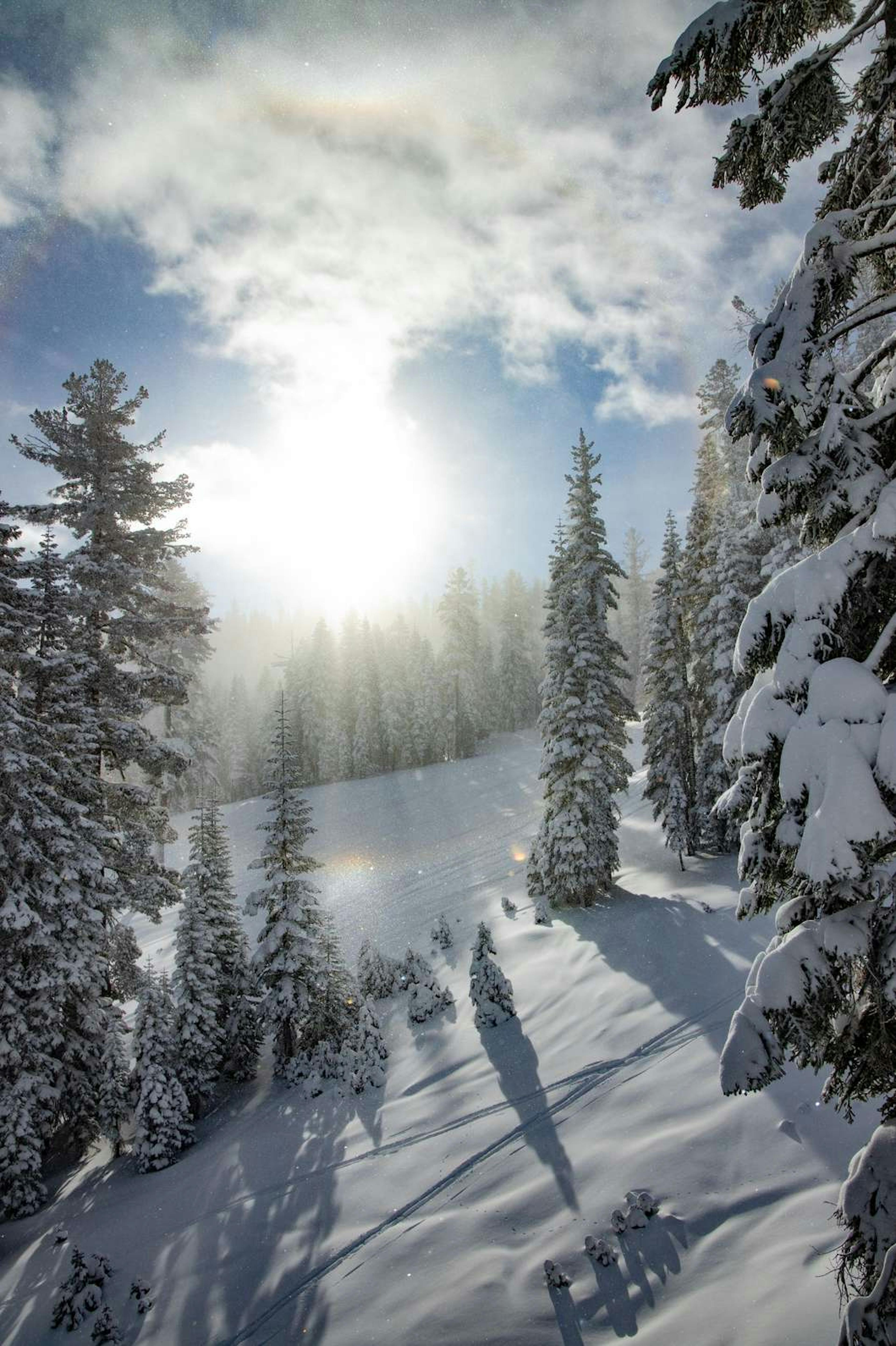 Sun shining through the trees at Northstar Resort