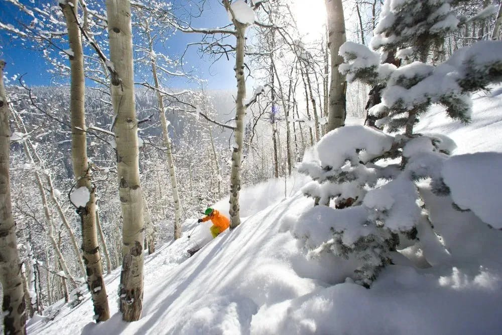a skier wearing an orange ski jacket skis a steep slopes through the trees of vail colorado on a beautiful blue bird day with powder snow