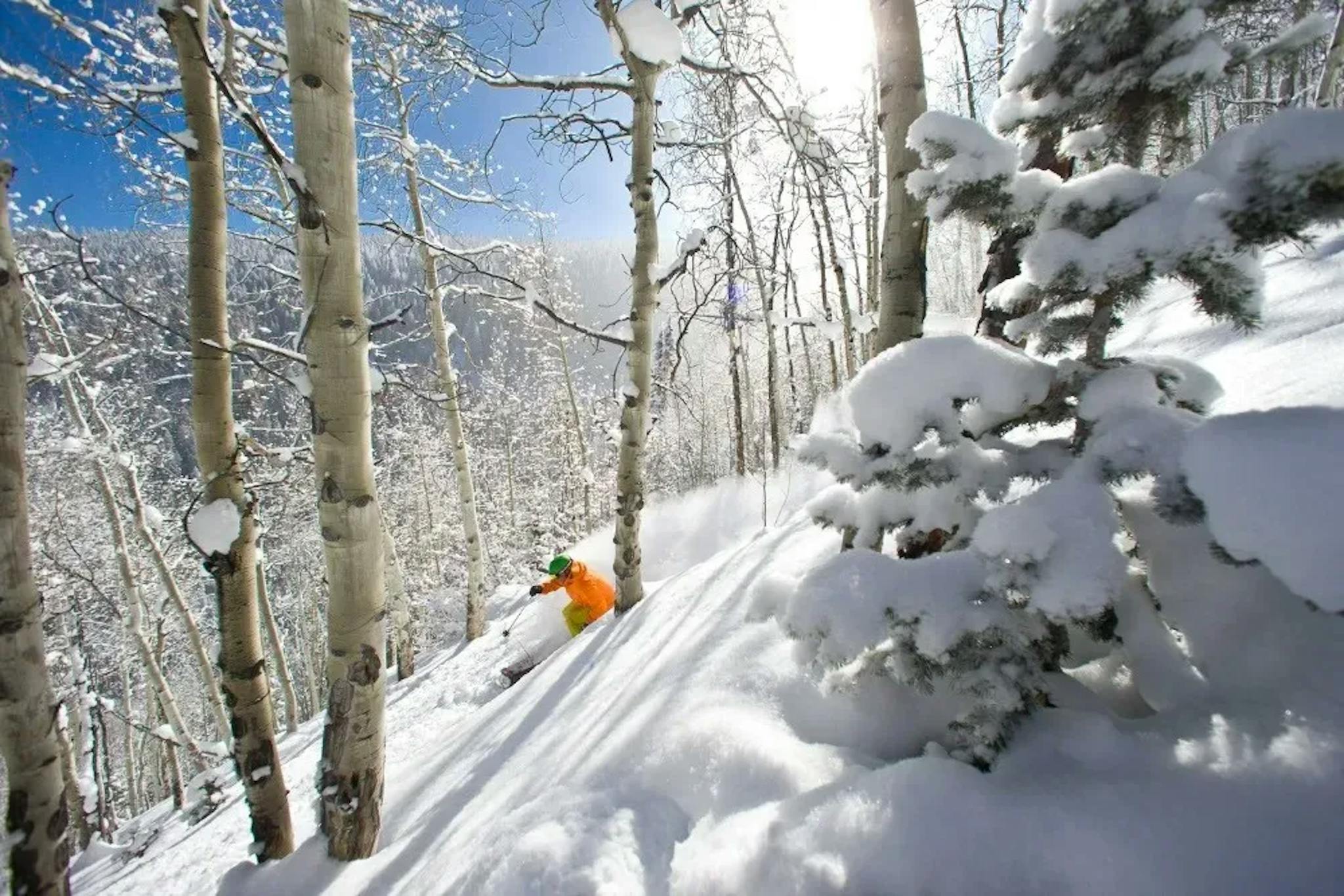 a skier wearing an orange ski jacket skis a steep slopes through the trees of vail colorado on a beautiful blue bird day with powder snow
