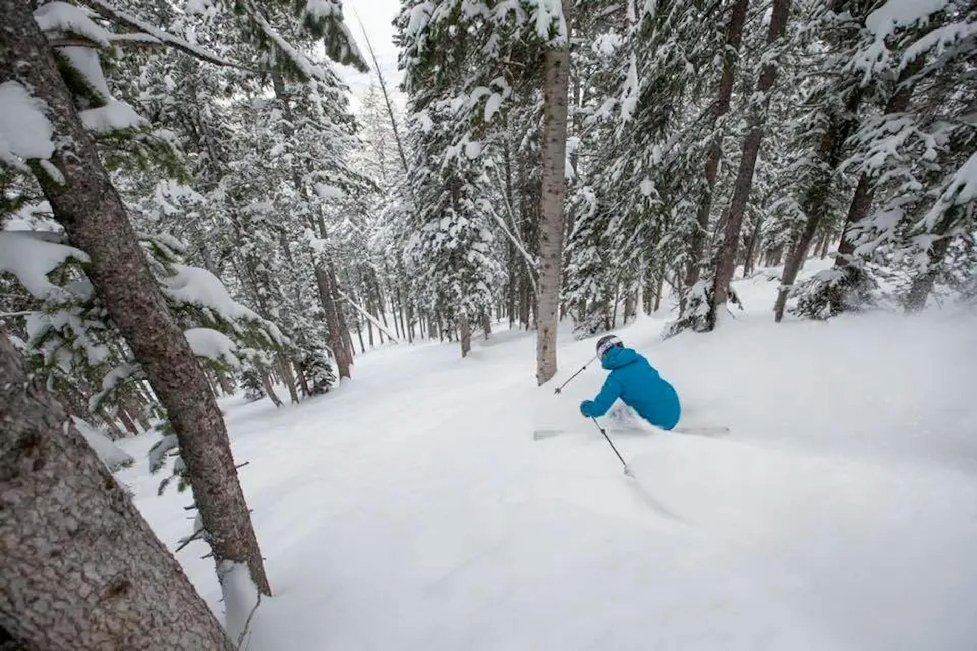 Tree Skiing at Deer Valley Resort