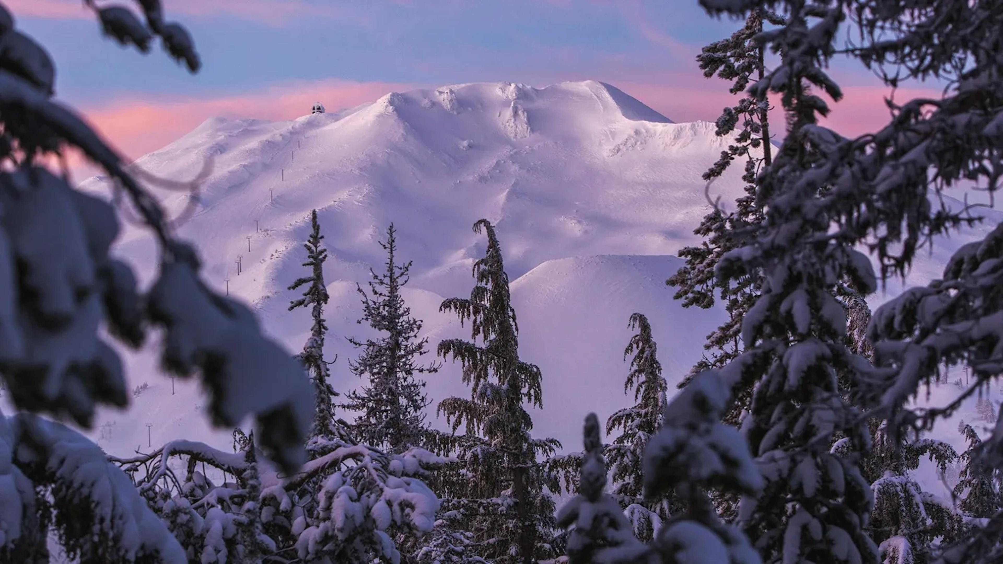 Snow covered Mount Bachelor through the trees.