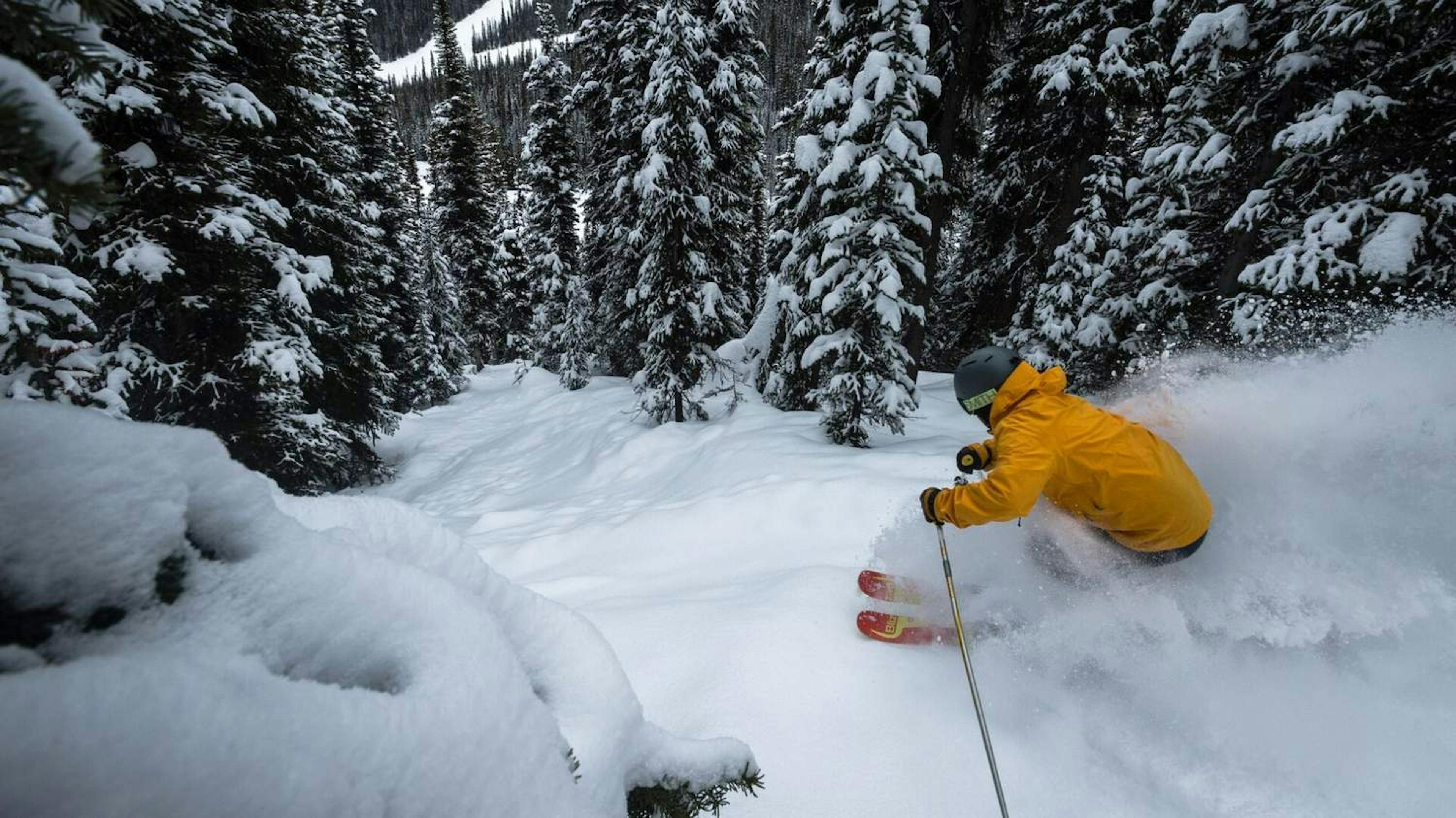 Skier skiing in powder at Banff Ski Resort.