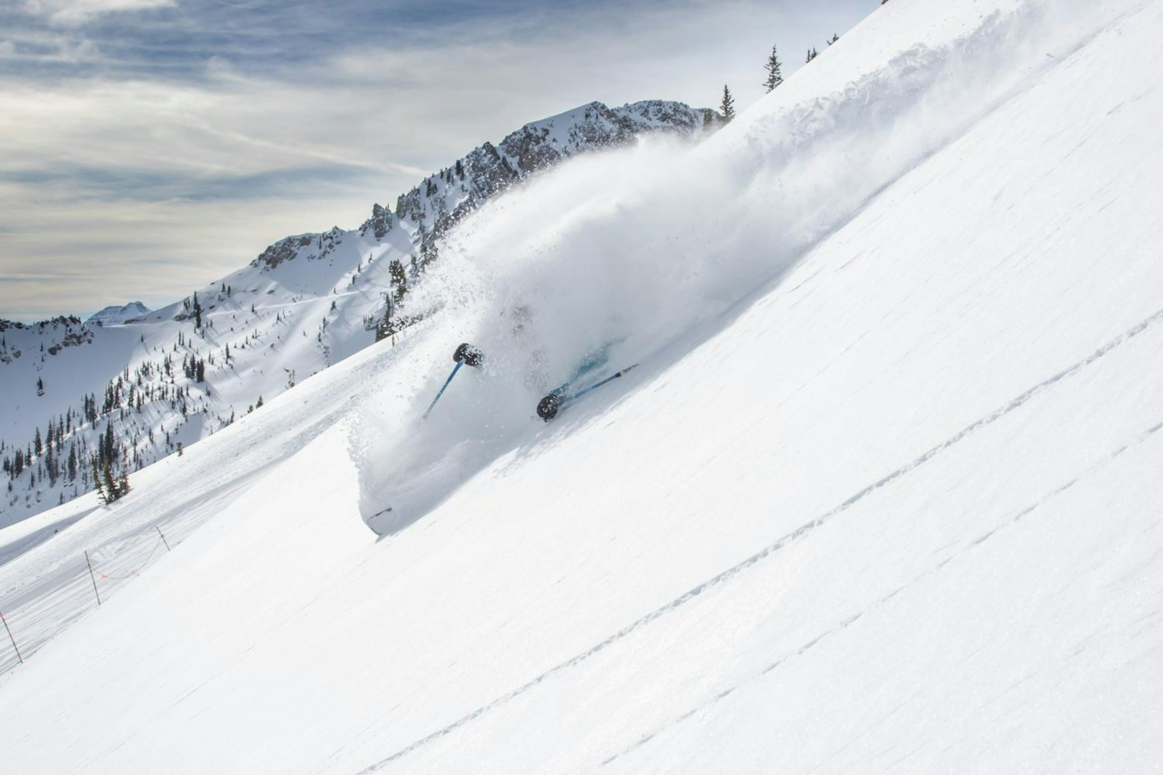 Skier skiing Snowbird.