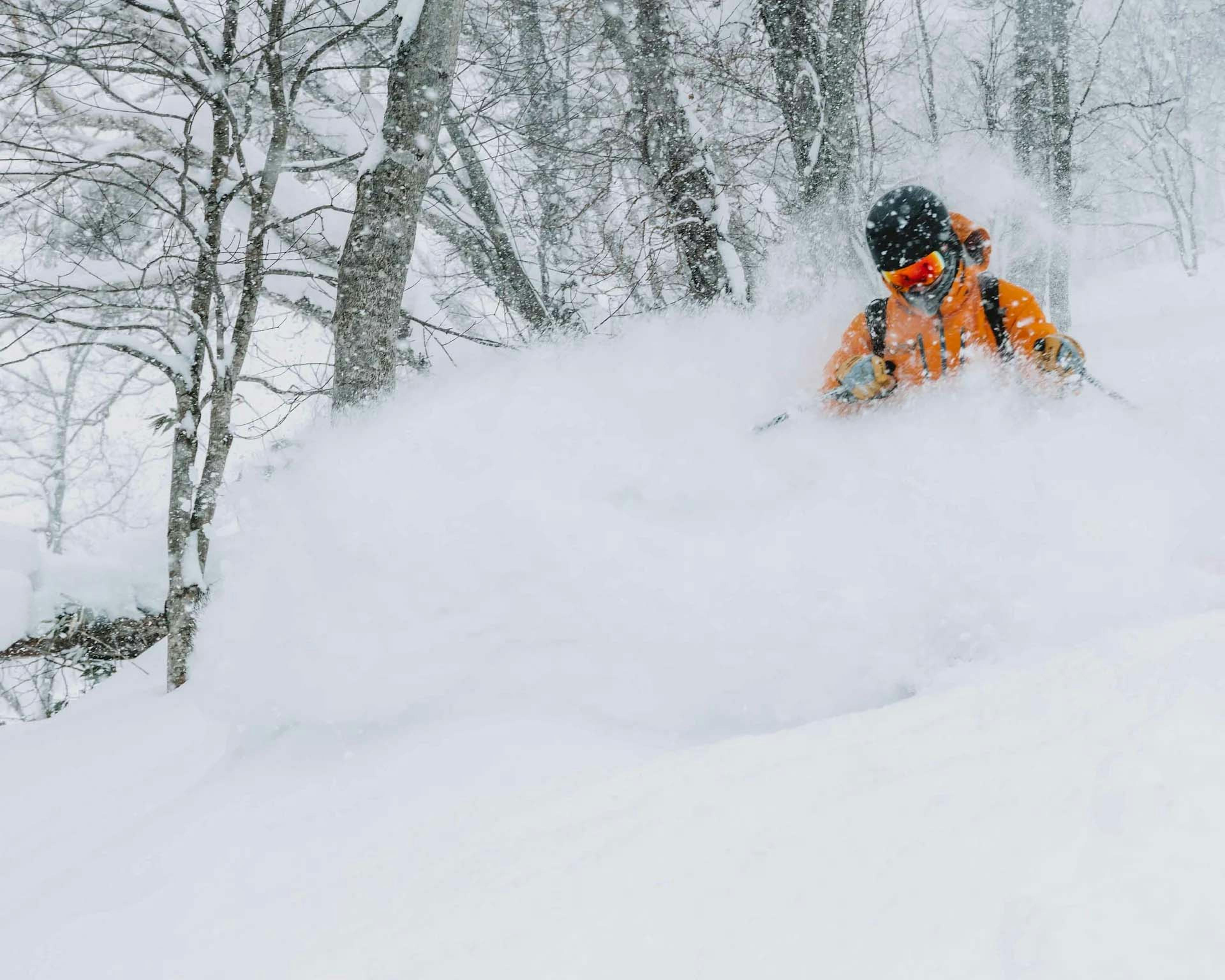 a skier in a yellow jacket charges through deep powder in Japan