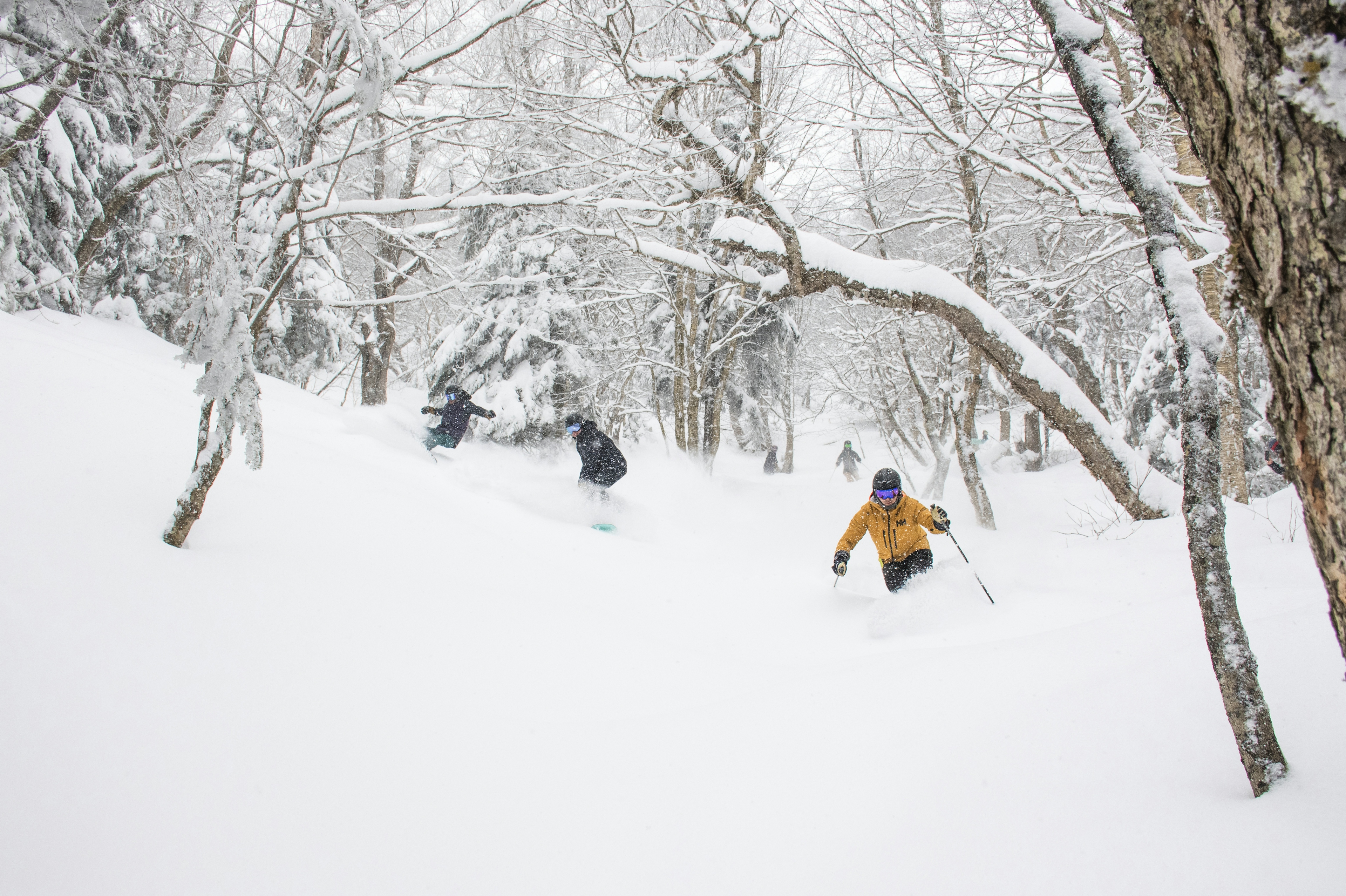 Riders enjoying a powder day at Jay Peak. 