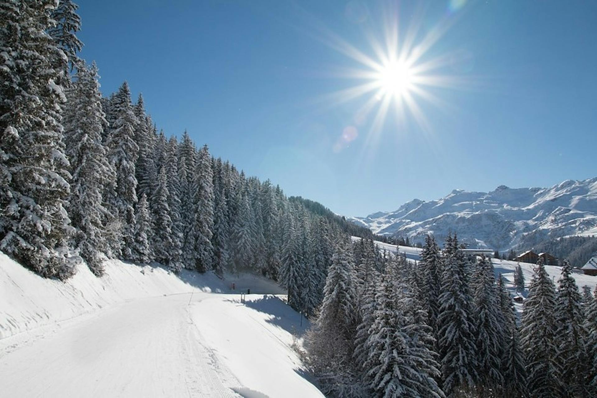 Ski trail through the trees in Brides-les-Bains