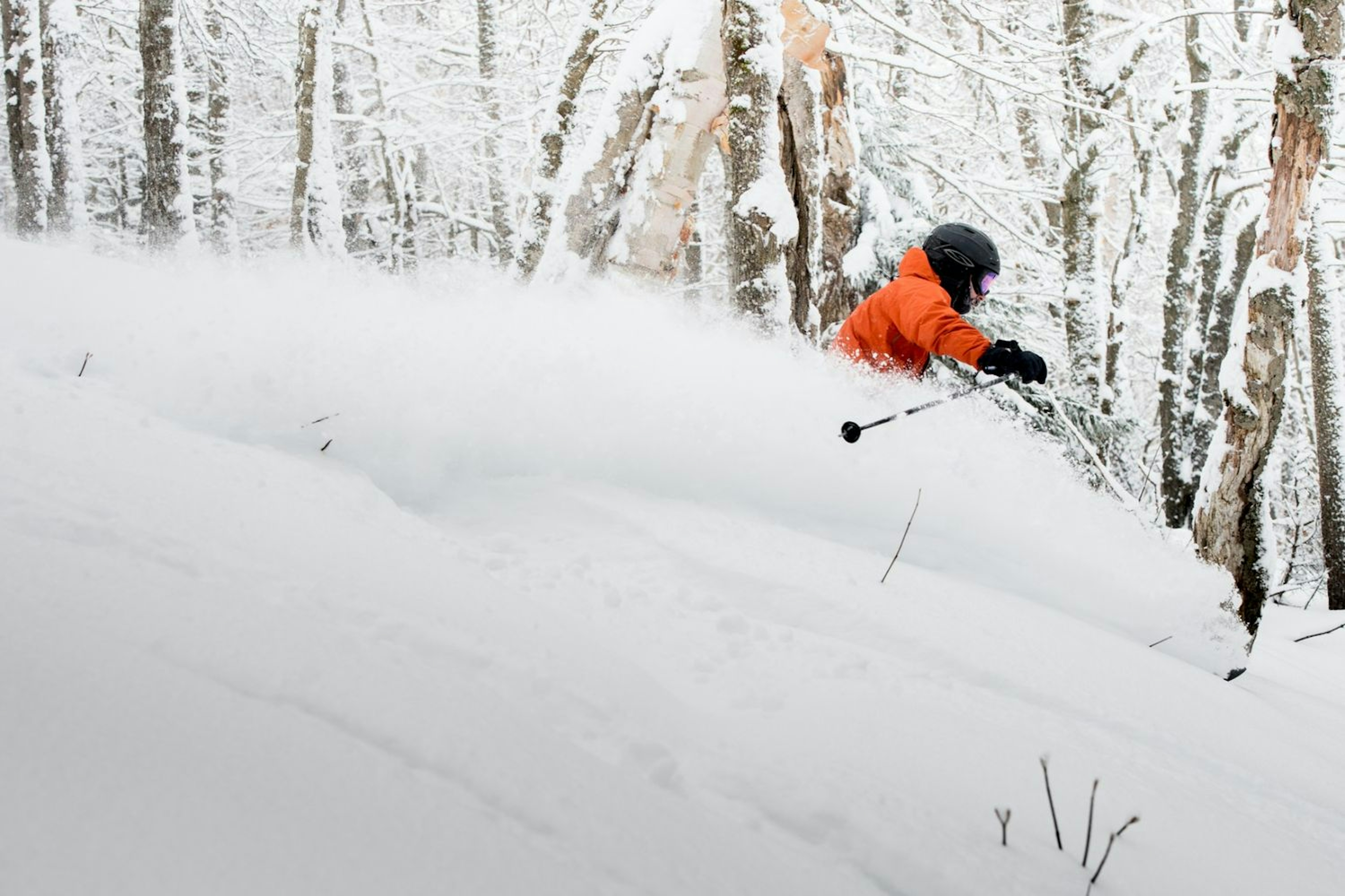 Skier in powder at Mount Snow. 