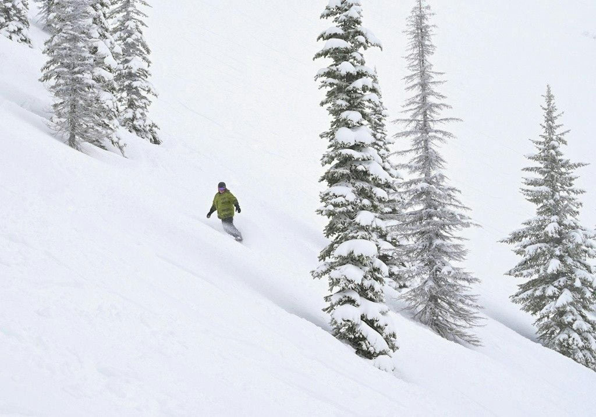 Snowboarder on fresh snow at Schweitzer Mountain Resort