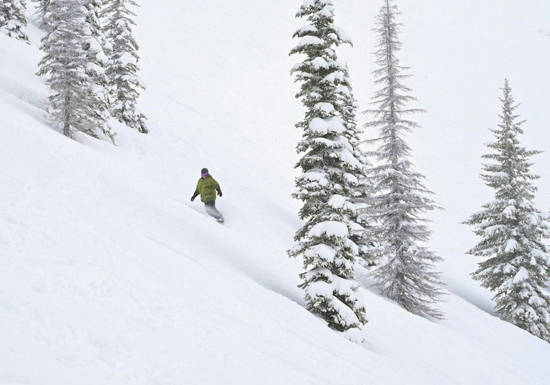 Snowboarder riding fresh powder at Schweitzer