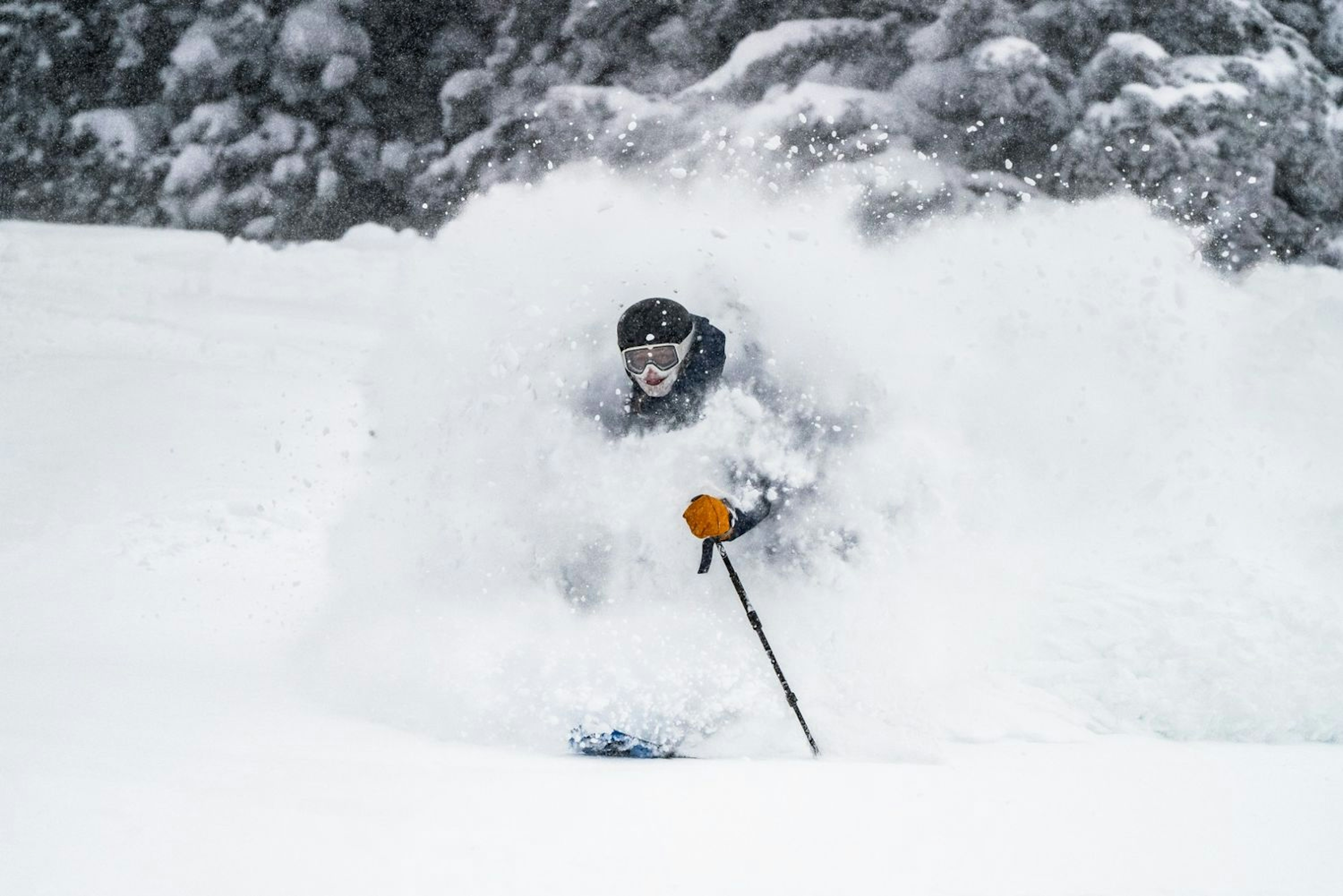 Skier skiing powder at a Wyoming ski resort