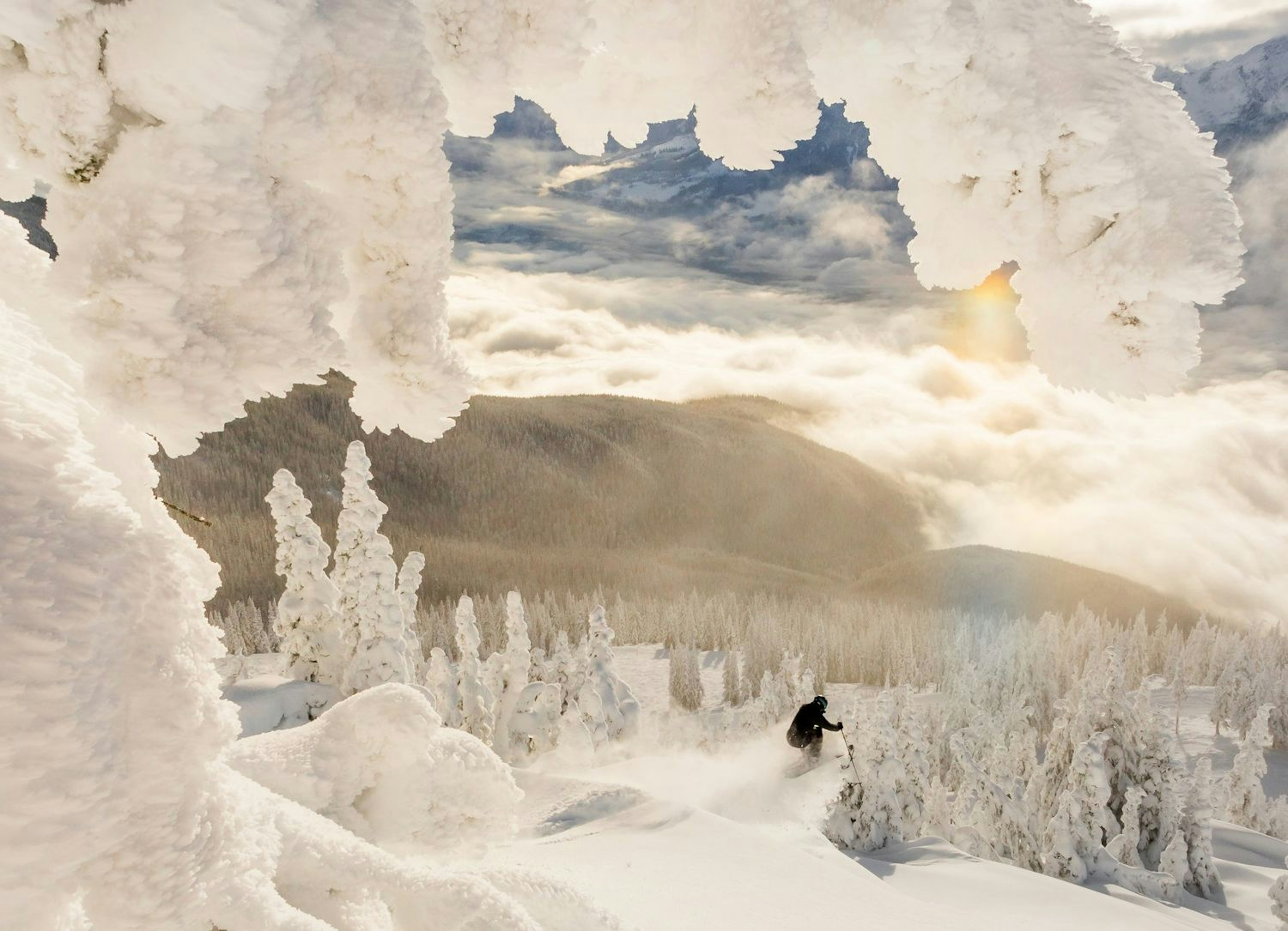 Skier at Revelstoke with fresh snow on the trees