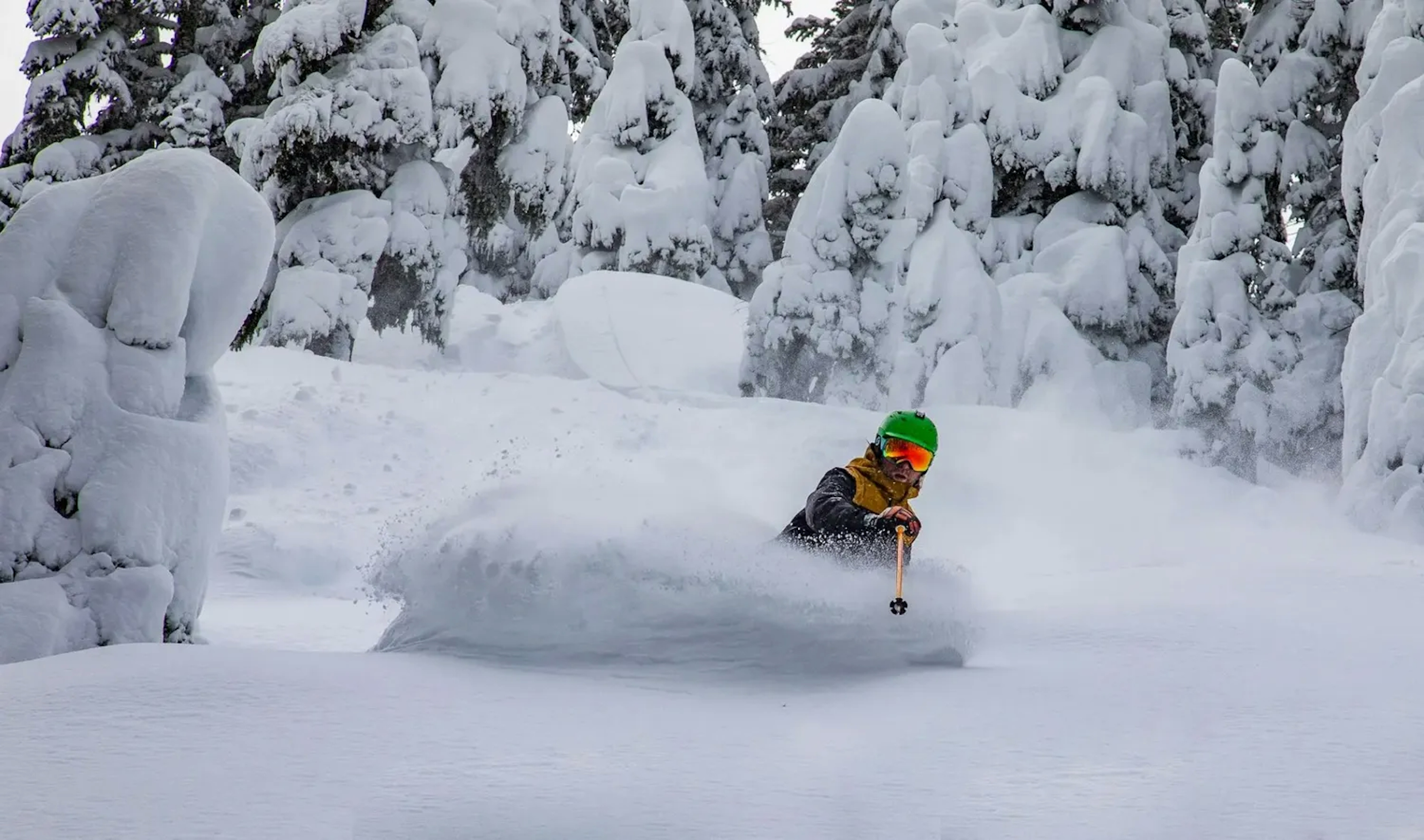 Skier in powder at Mount Hood