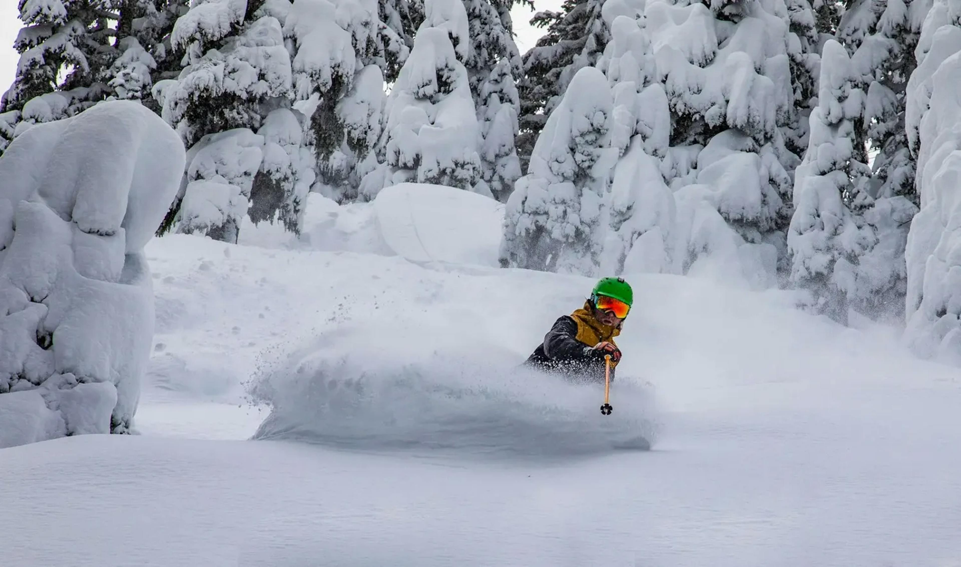 Skier in powder at Mount Hood.