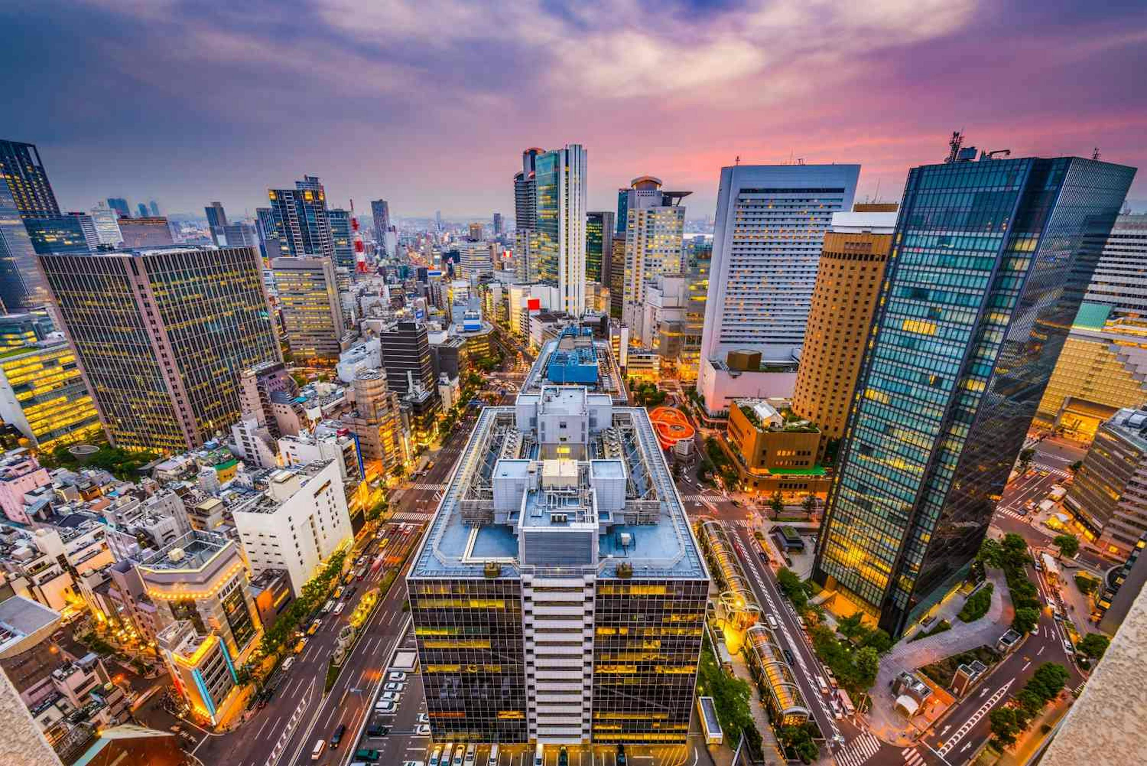 Tokyo overlook.