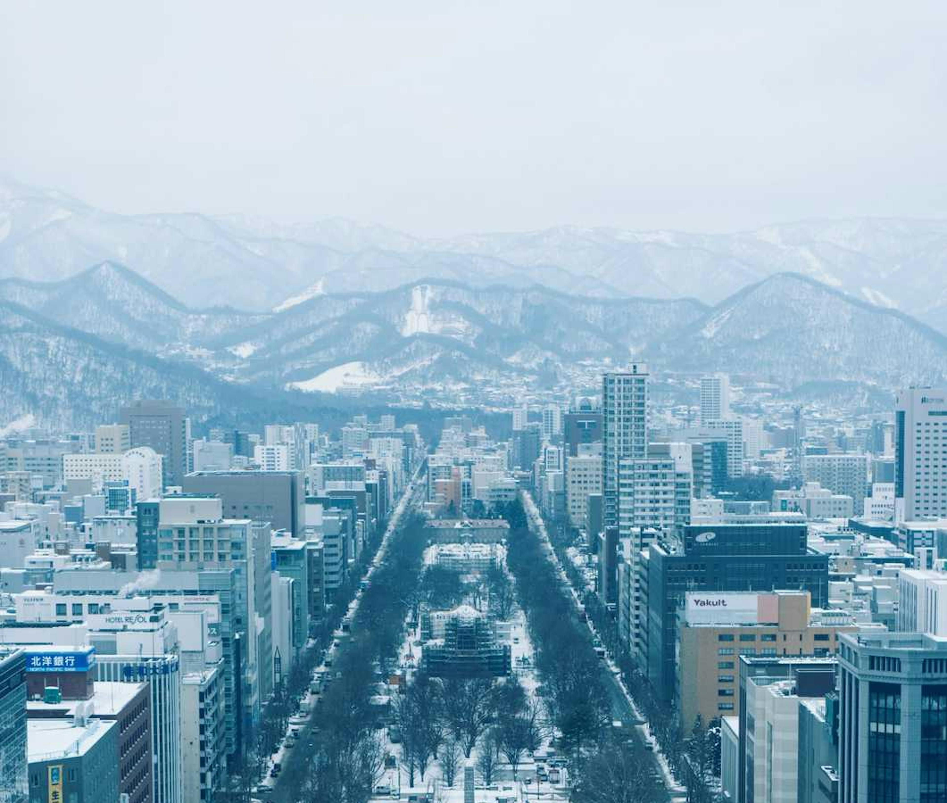 Aerial view of a bustling metropolitan cityscape with deciduous trees and snow-capped mountain ranges in the background in Sapporo, Hokkaido, Japan.