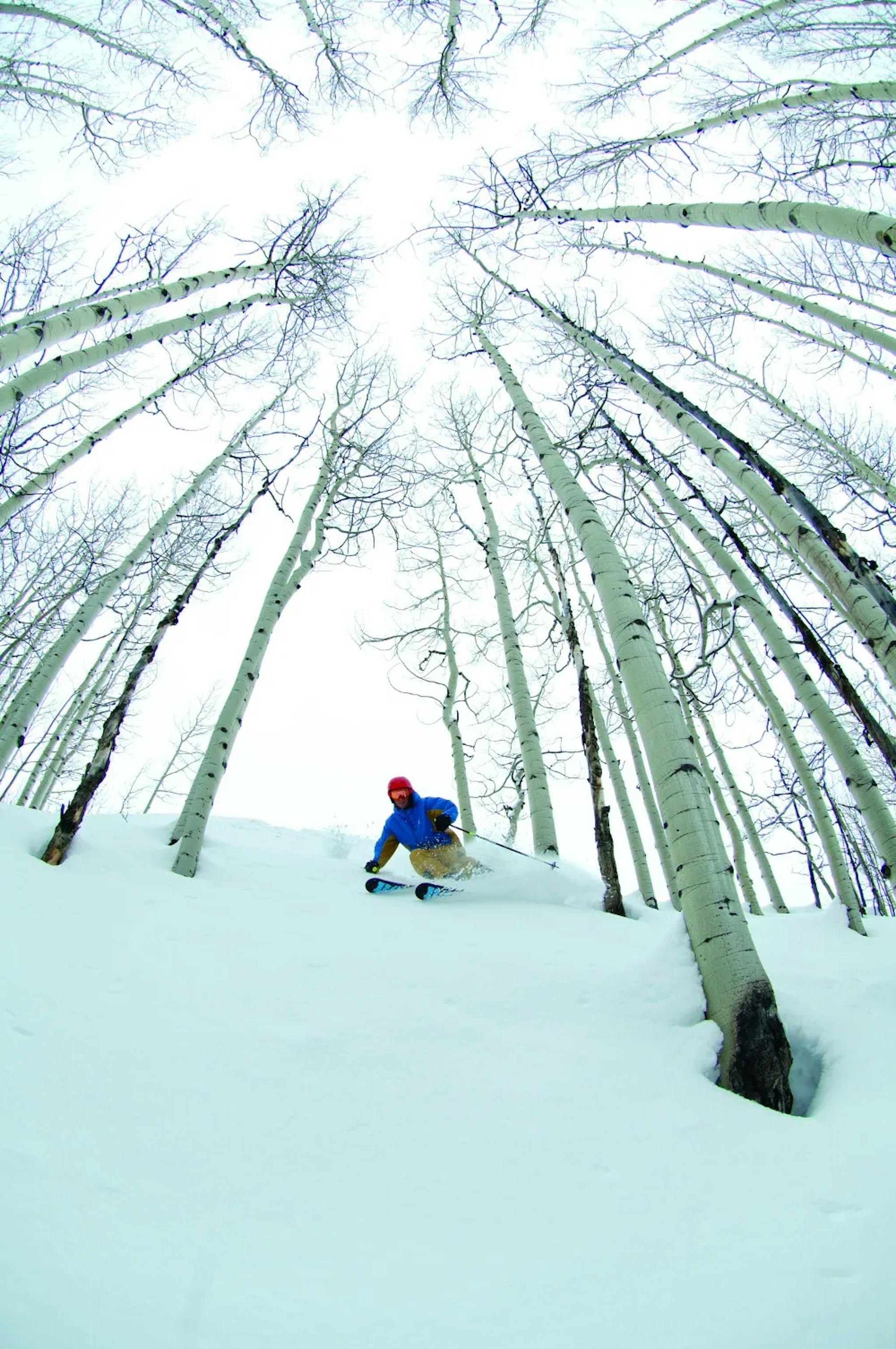 Tree skiing in Crested Butte