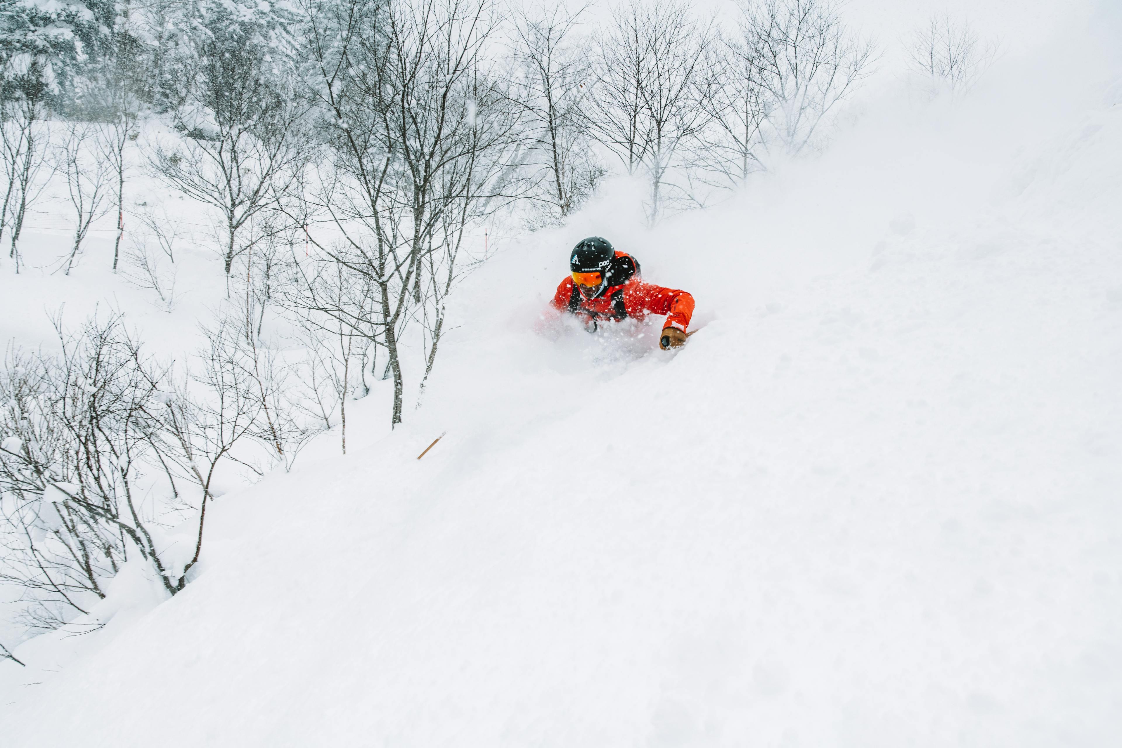 Powder skiing in Niseko, Japan